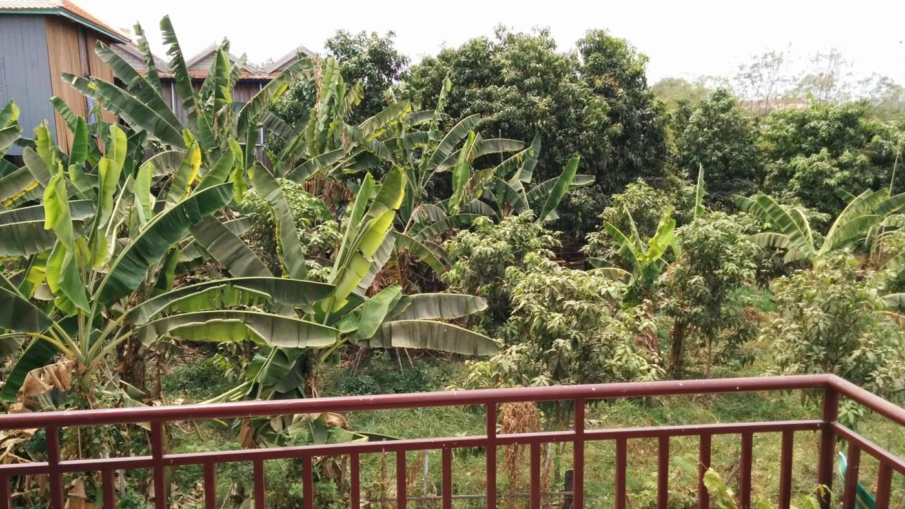 Other in Phalla Riverside