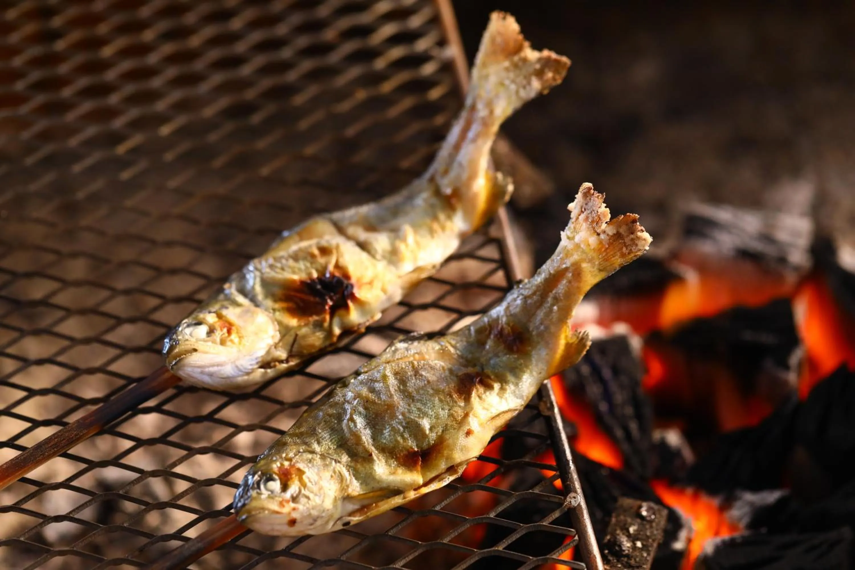 Food and drinks in Tateshina Park Hotel