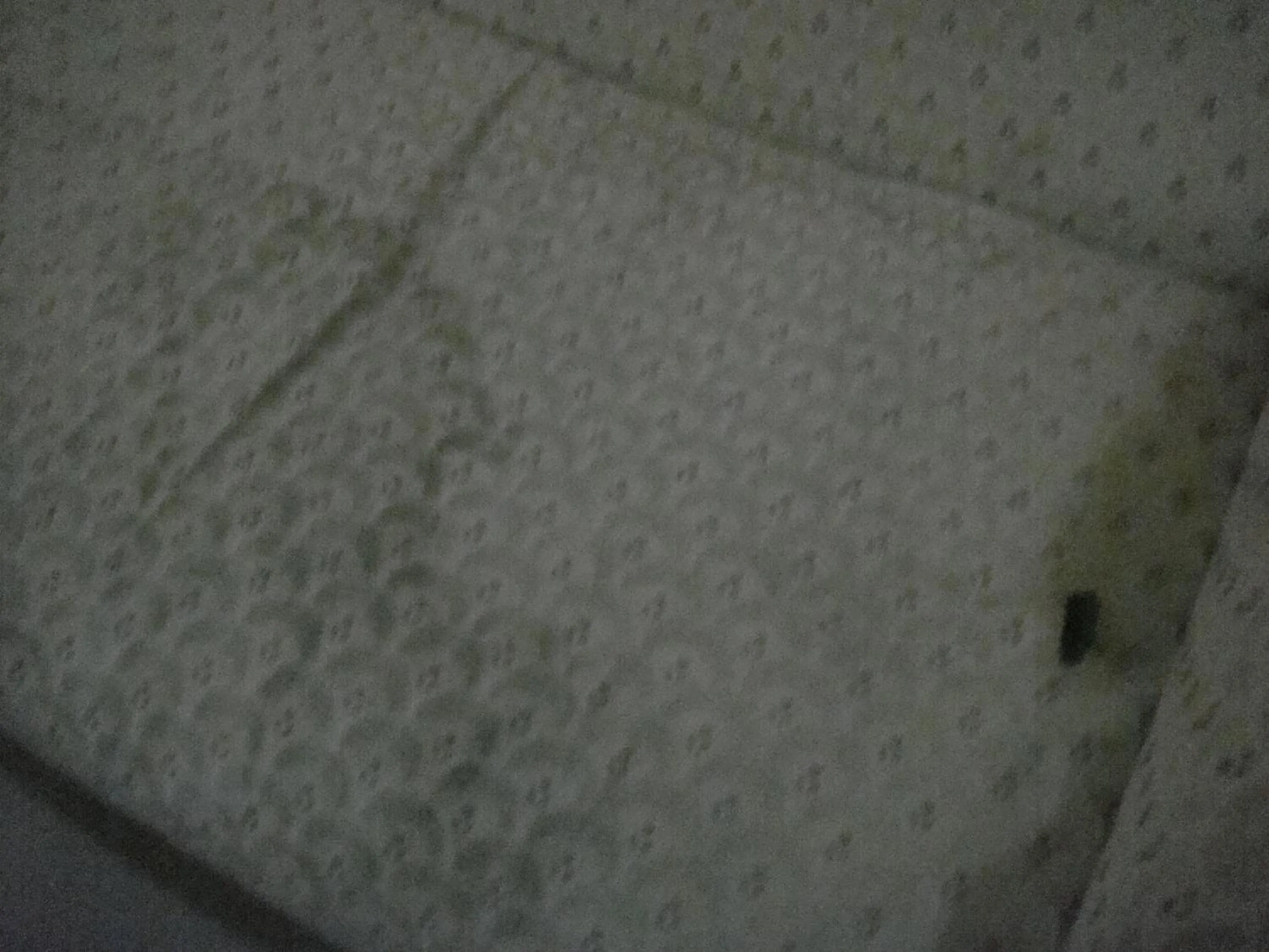 Decorative detail in Hidden Pearl Hotel (Janus Luxury Suites)