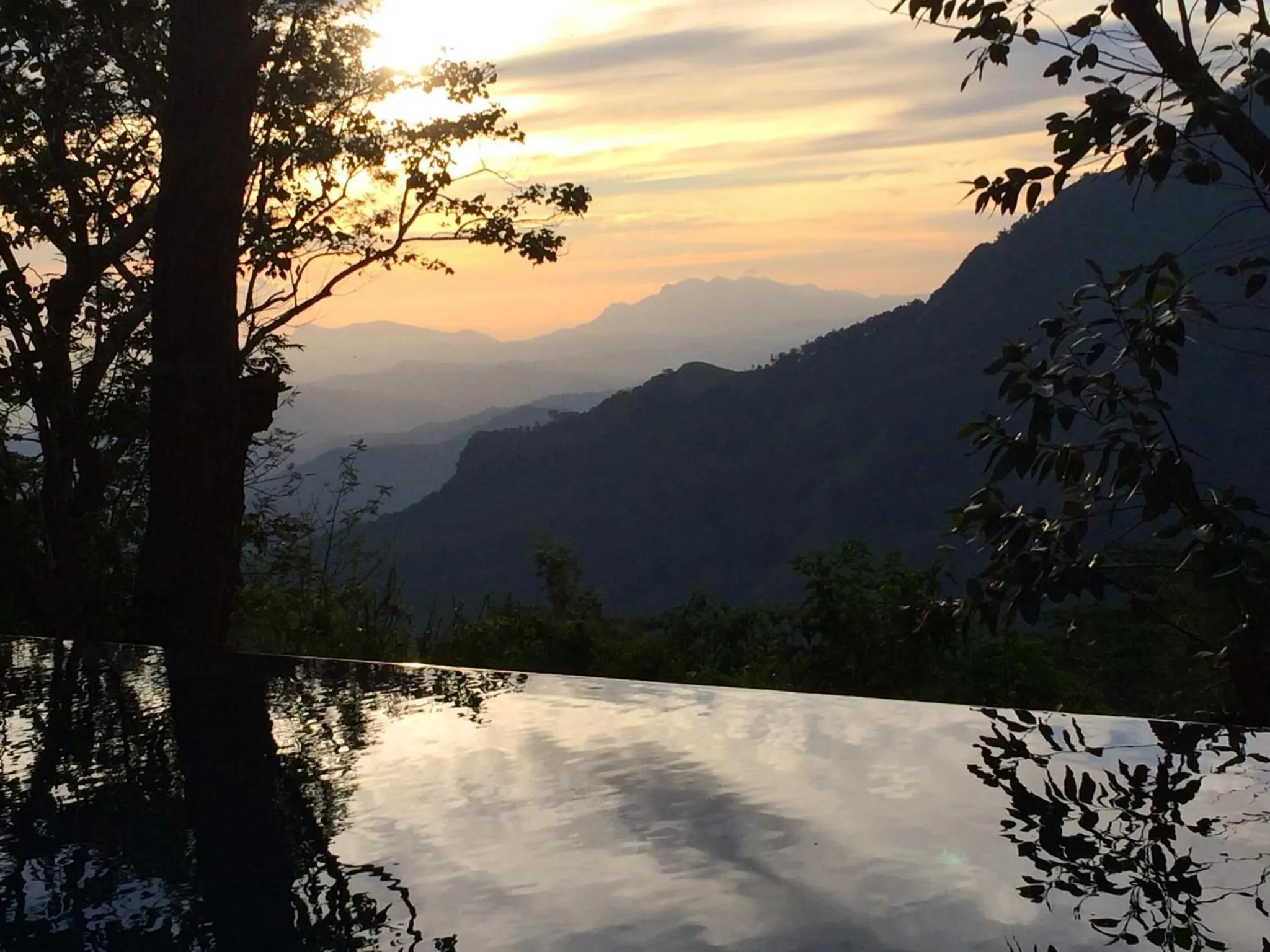 Natural landscape in The Planters House