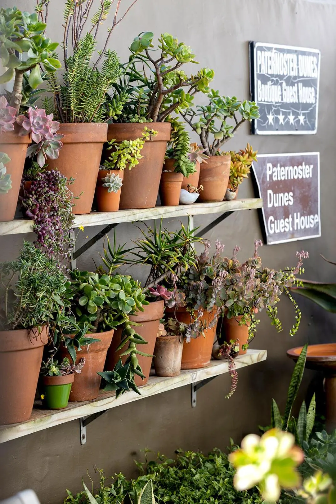 Garden in Paternoster Dunes Boutique Guesthouse