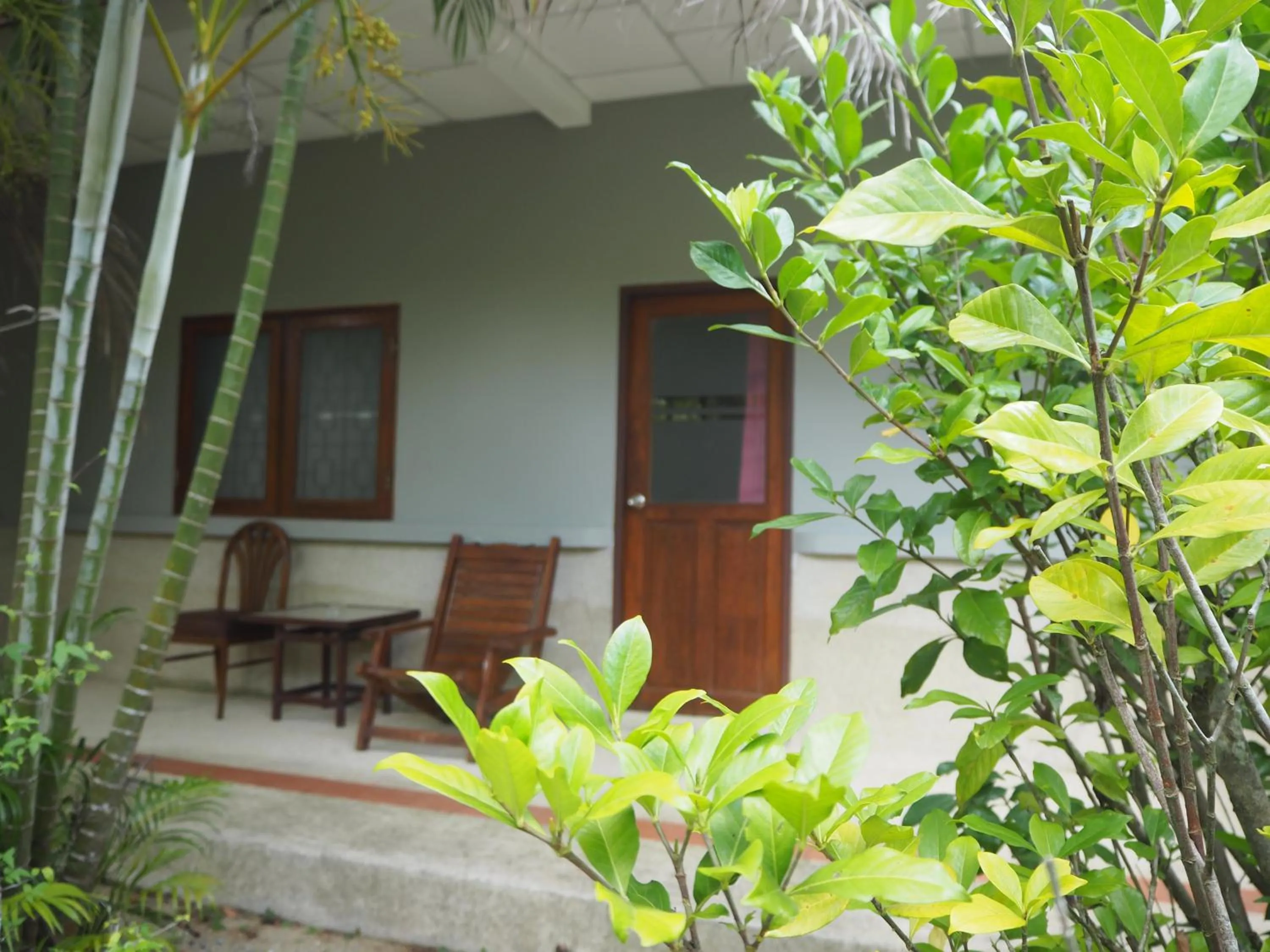 Garden view in Coconut Bungalow