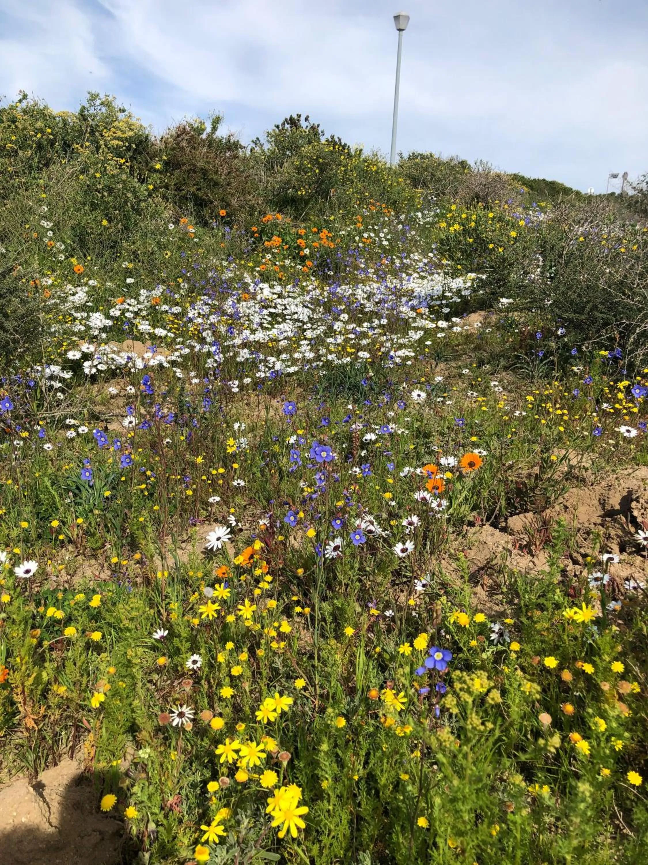 Spring in The Farmhouse Hotel