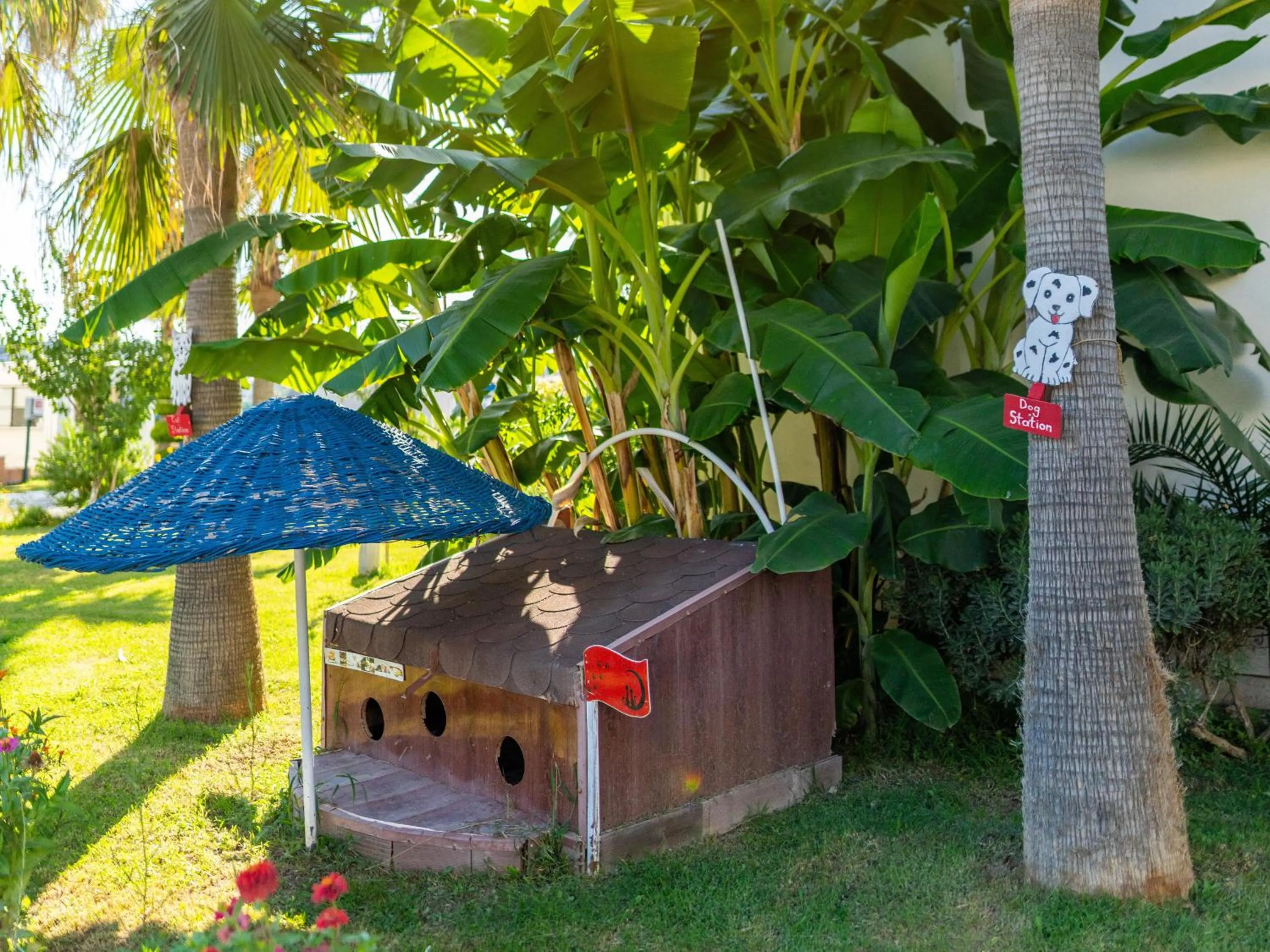 Pets in Labranda Lebedos Princess - All Inclusive