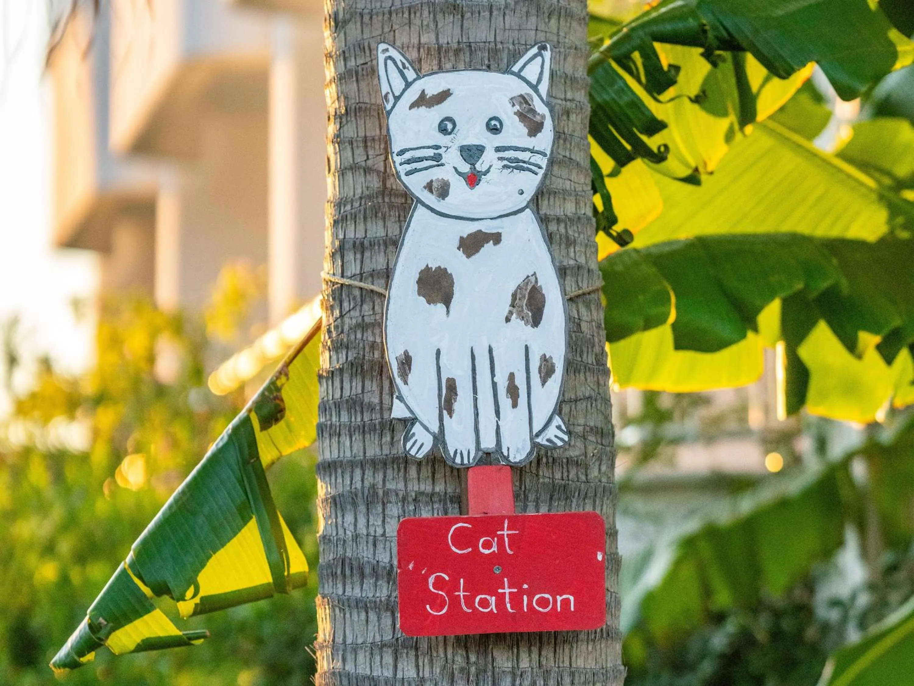 Pets in Labranda Lebedos Princess - All Inclusive