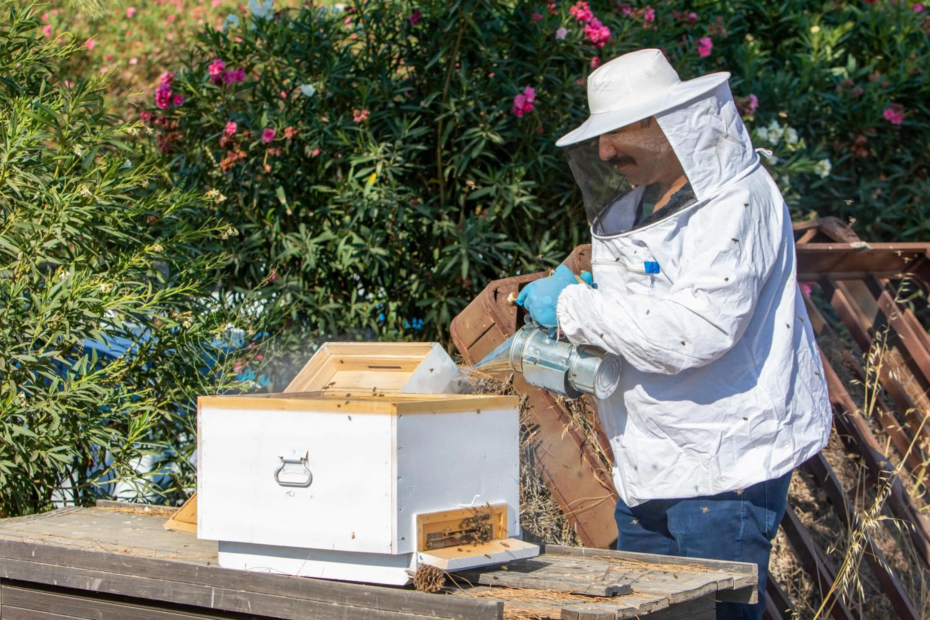 Garden in Labranda Lebedos Princess - All Inclusive