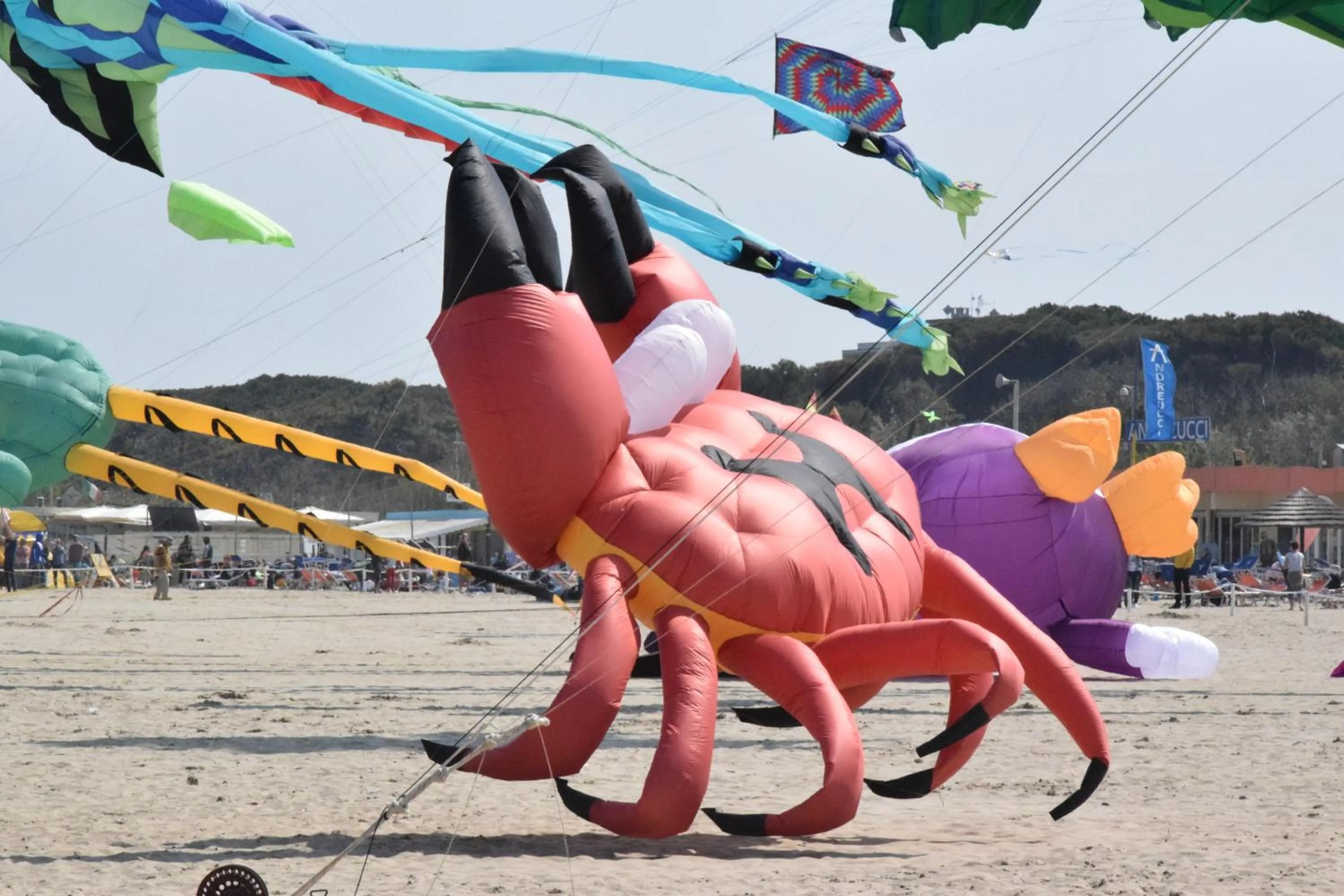 Beach in Hotel Lem-Casadei