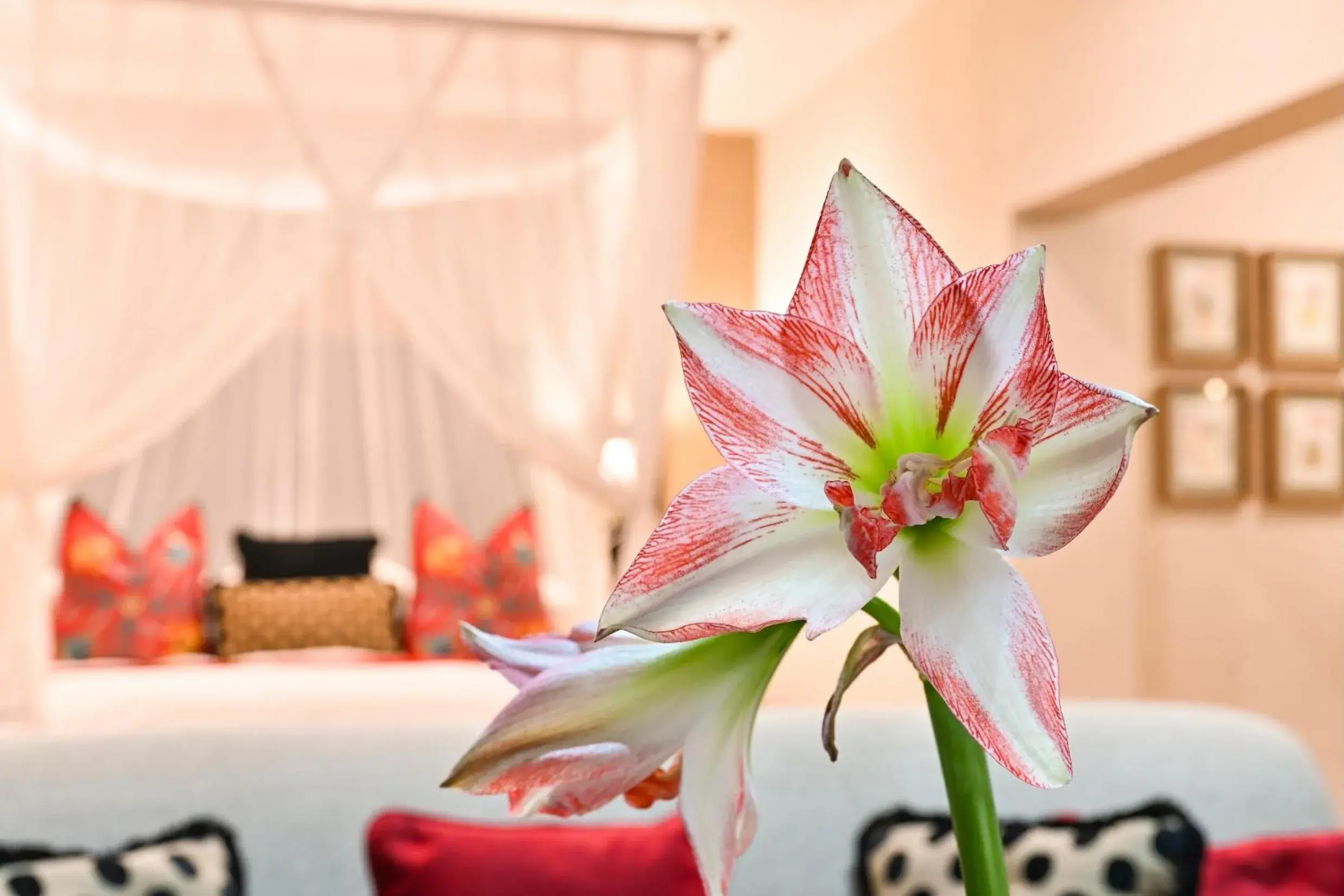 Suite in Woodall Country House and Spa Suite in Woodall Country House and Spa