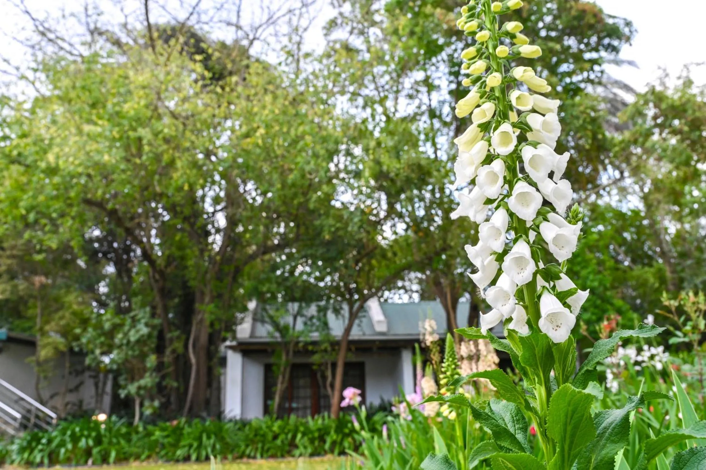 Spring in Woodall Country House and Spa