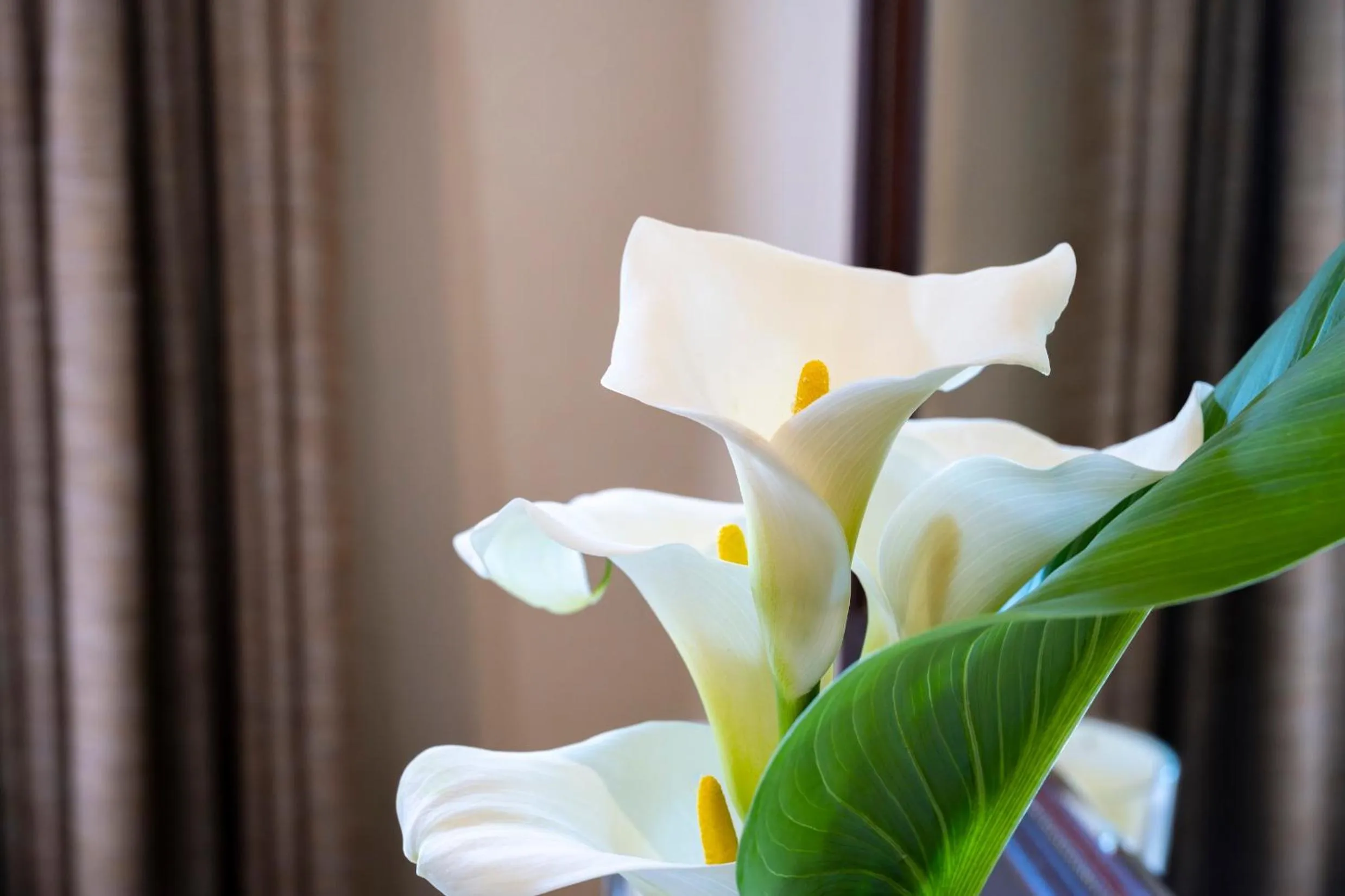 Decorative detail in Woodall Country House and Spa