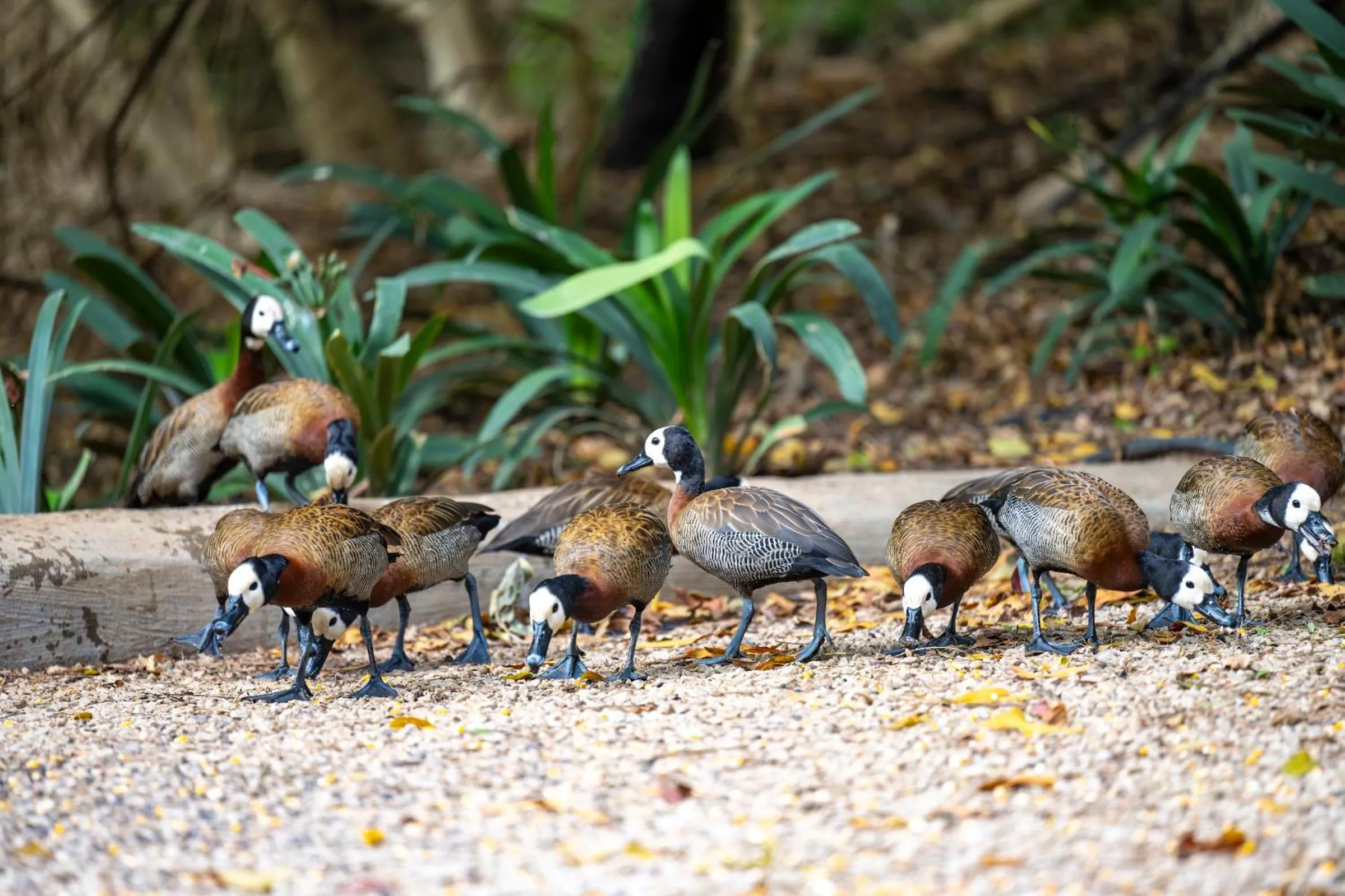 Day in Woodall Country House and Spa