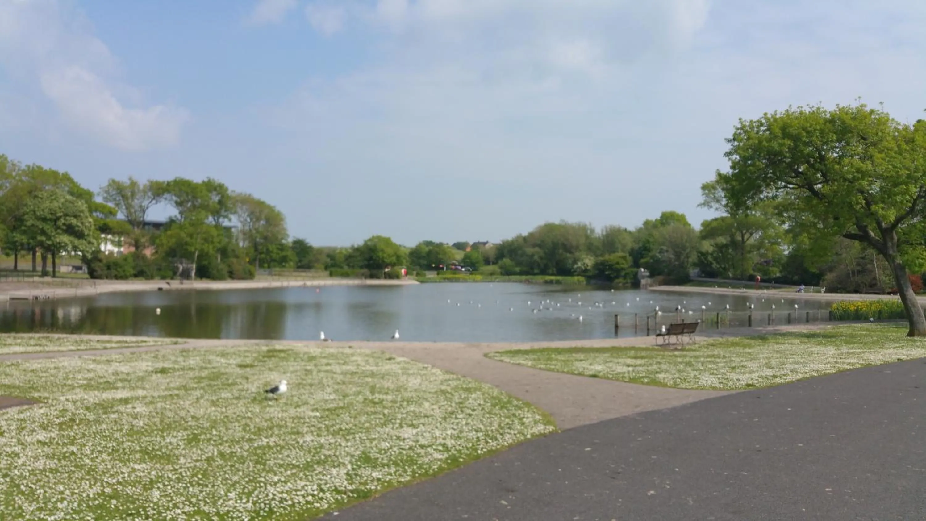 Natural landscape in Maindee Guest House