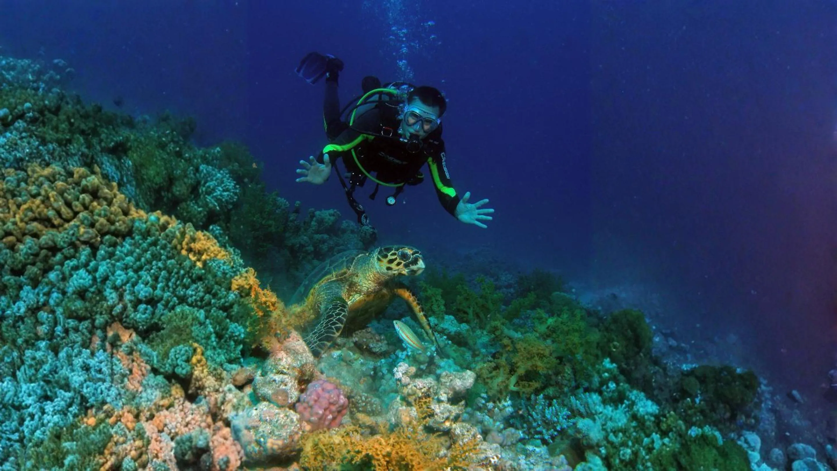 Diving in Kempinski Hotel Soma Bay