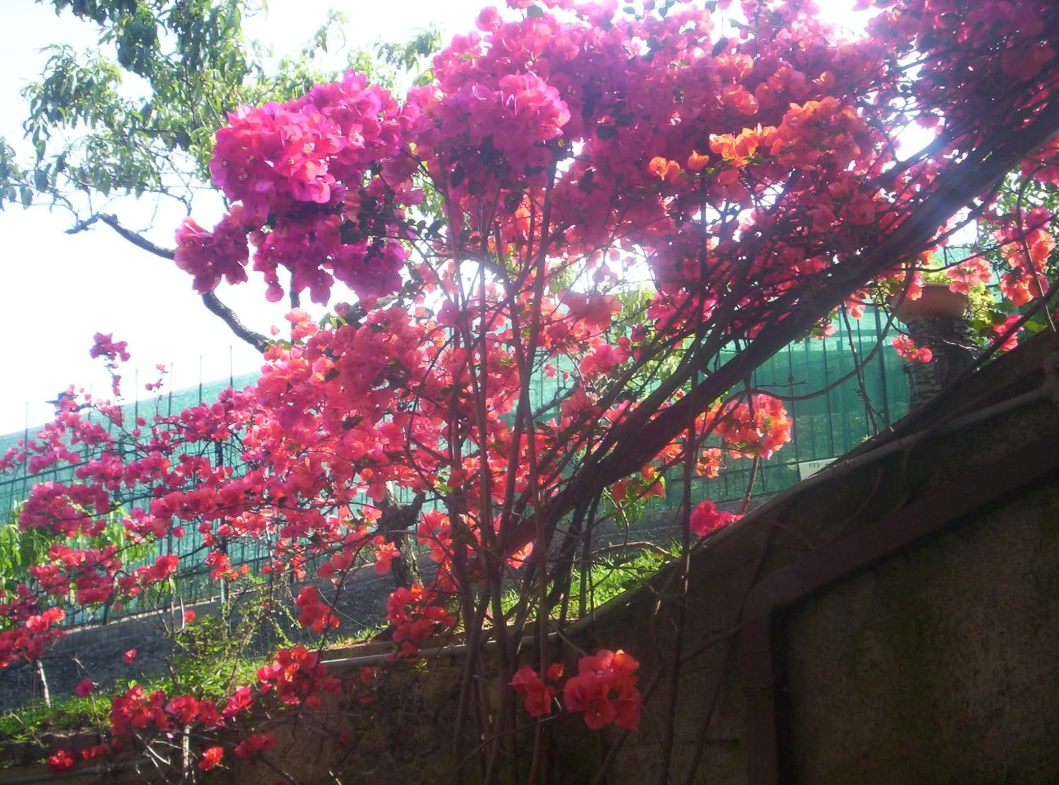 Garden view in Le Gardenie da Fil