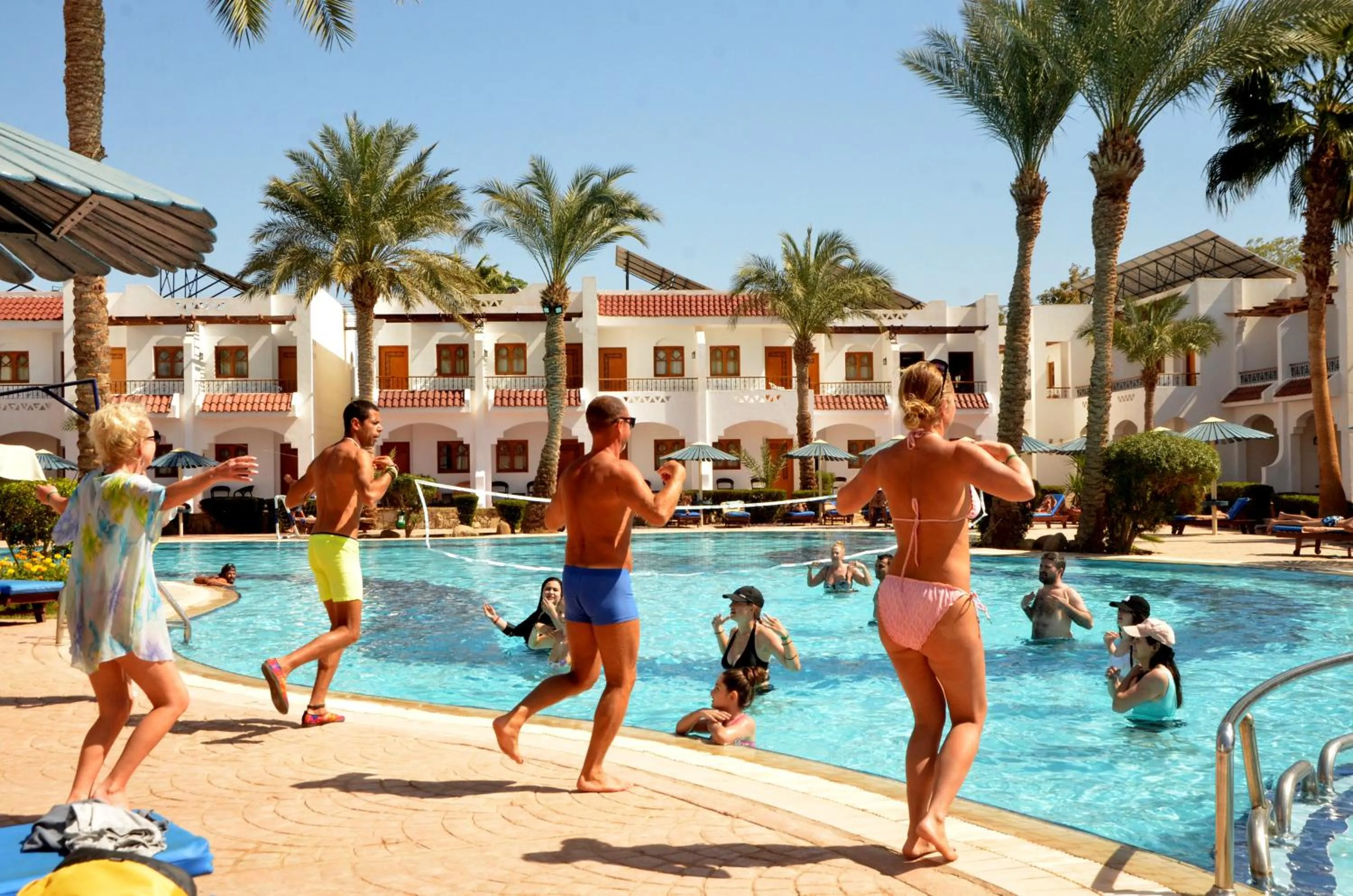 Swimming pool in Dive Inn Resort