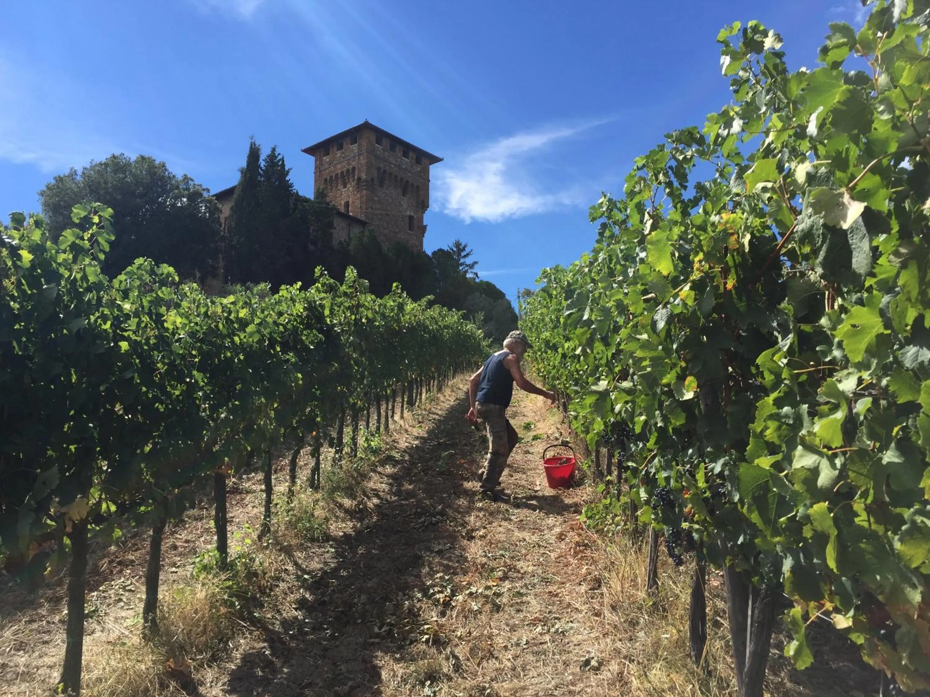 Natural landscape in Castello di Cafaggio