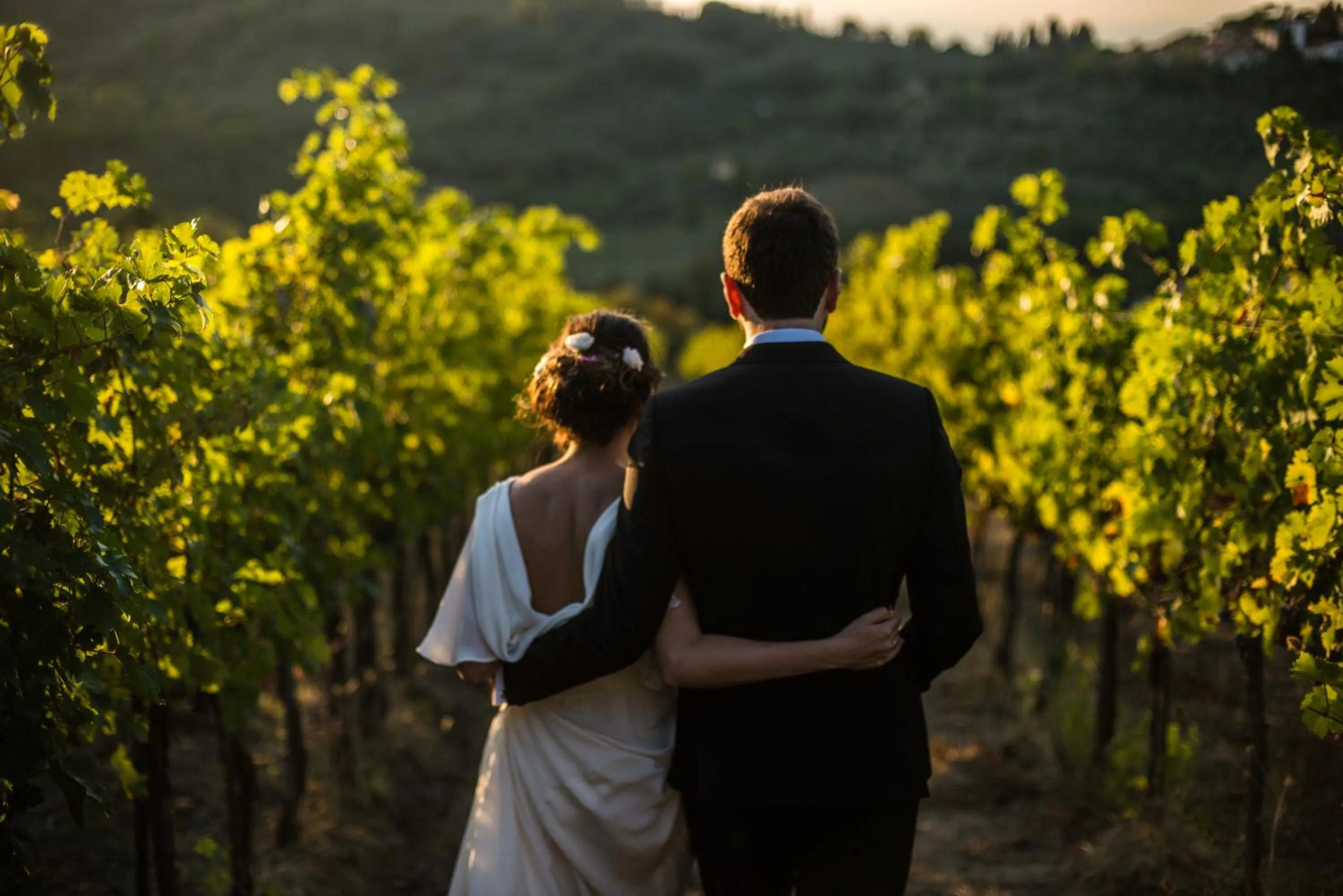 Natural landscape in Castello di Cafaggio