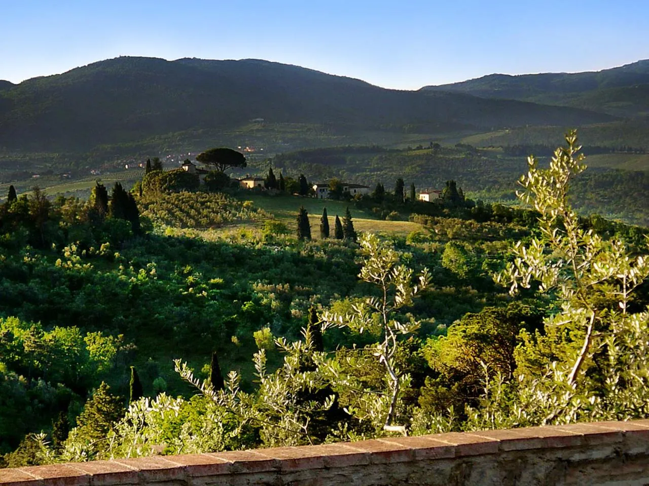 Natural landscape in Castello di Cafaggio
