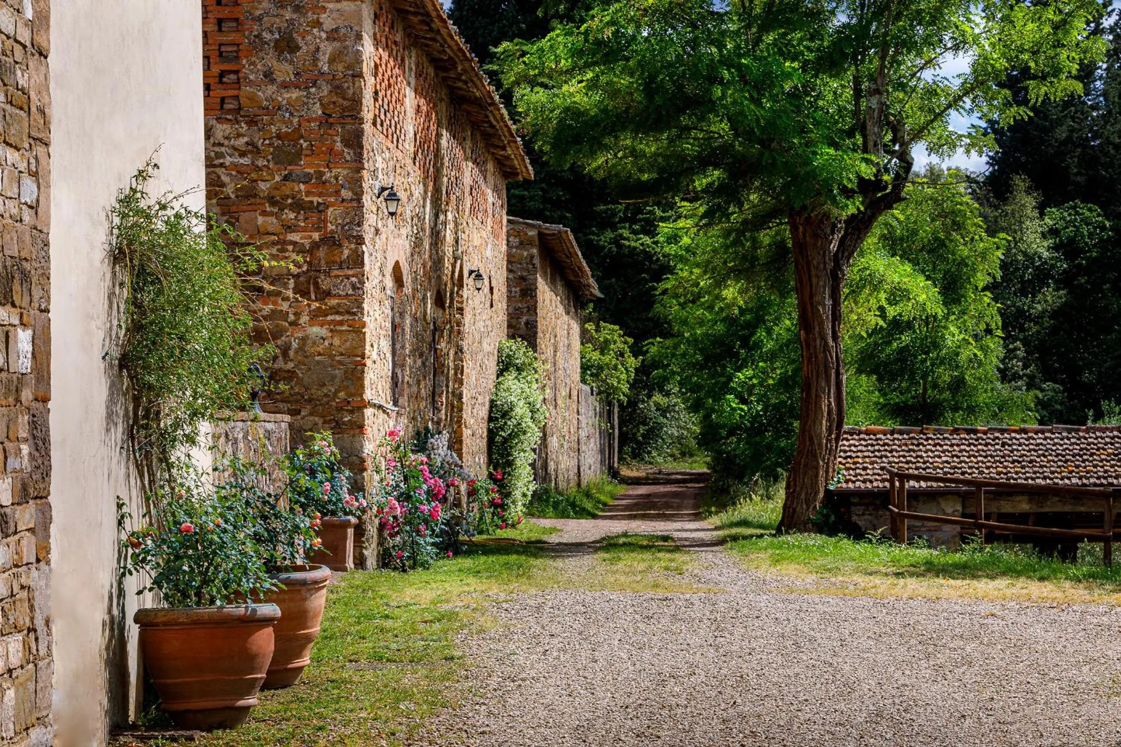 Garden view in Castello di Cafaggio