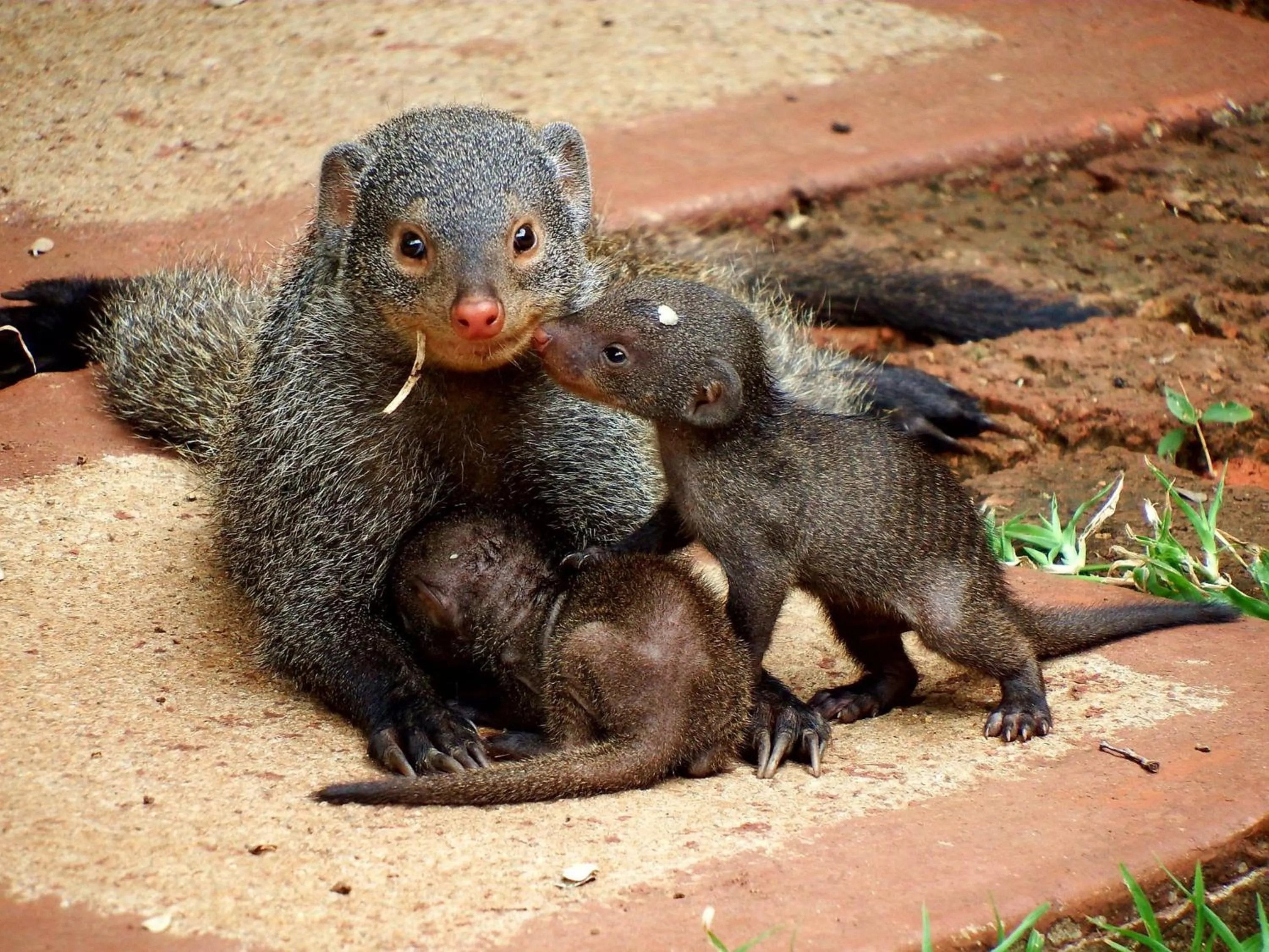 Natural landscape in Wielewaal Bush Lodge