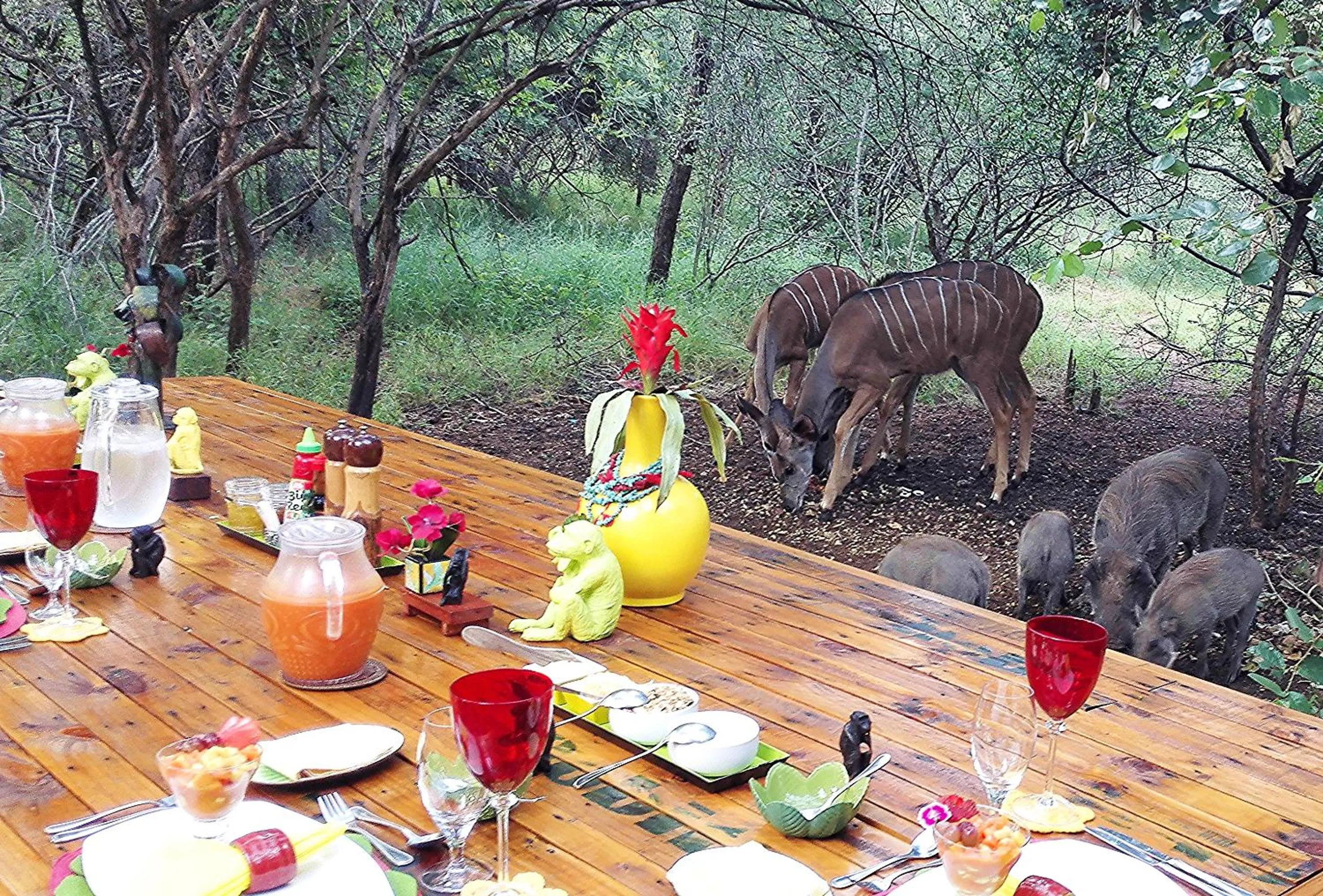 Restaurant/places to eat in Wielewaal Bush Lodge