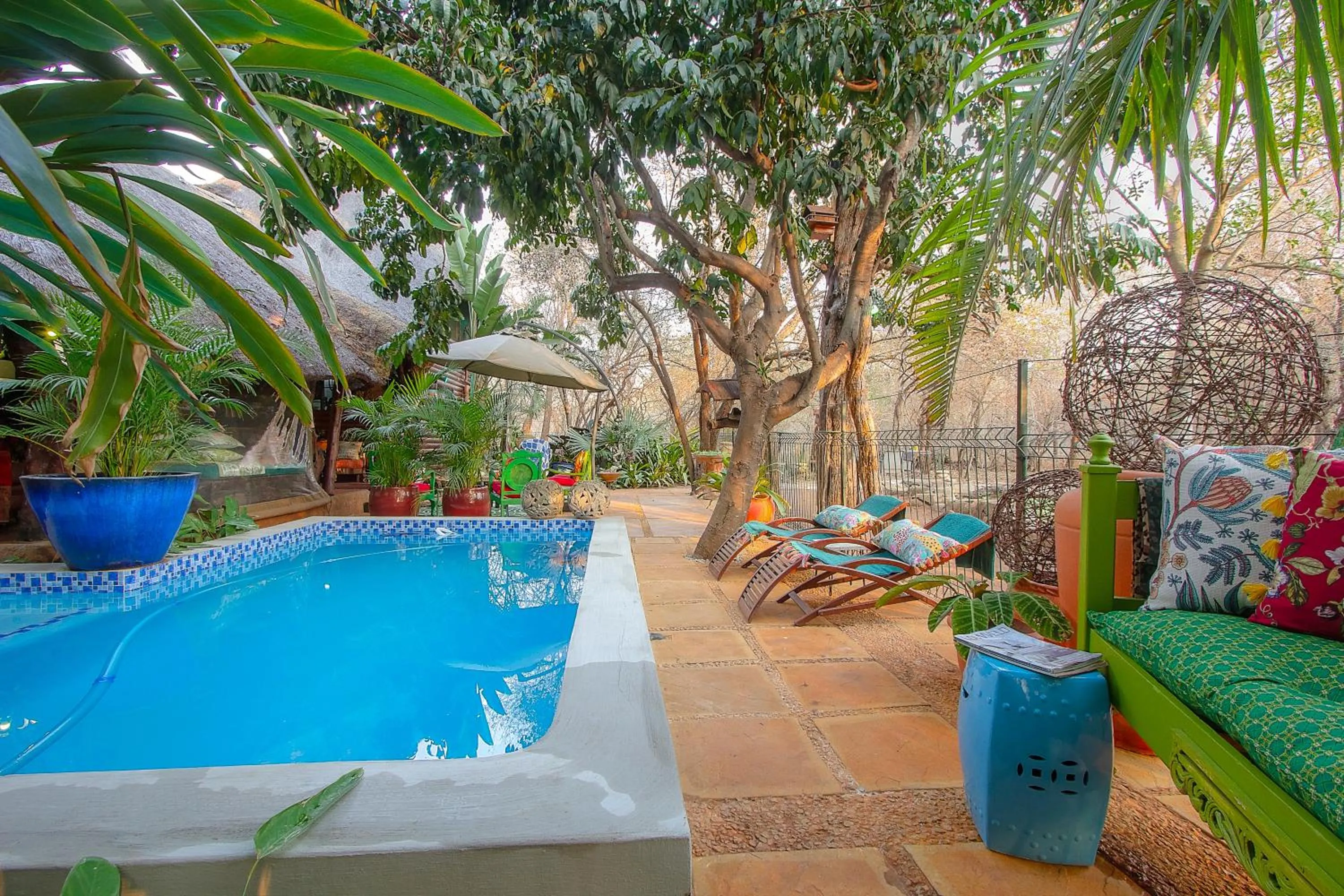 Balcony/Terrace in Wielewaal Bush Lodge