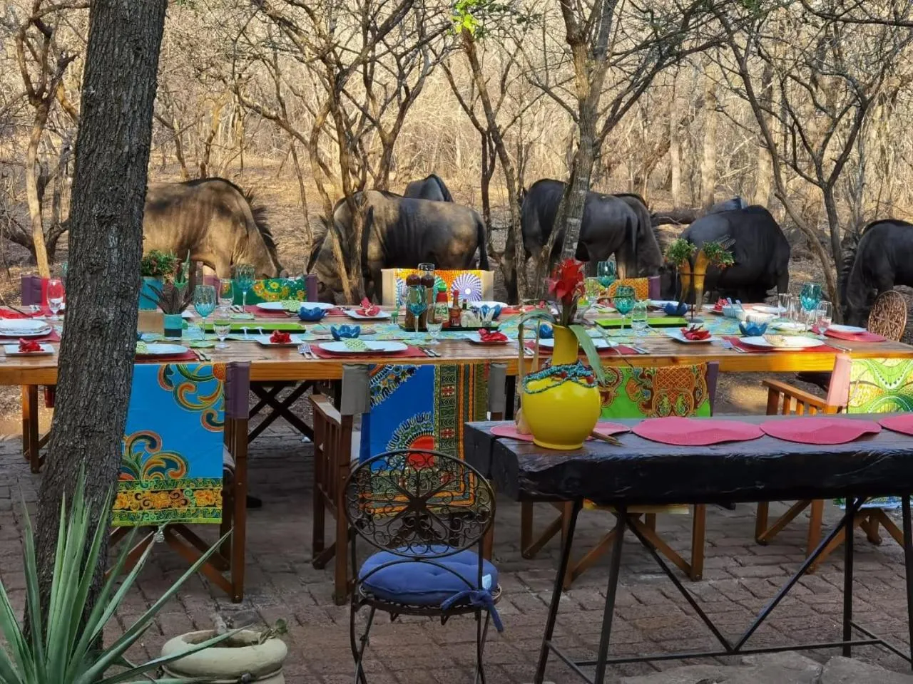 Restaurant/places to eat in Wielewaal Bush Lodge