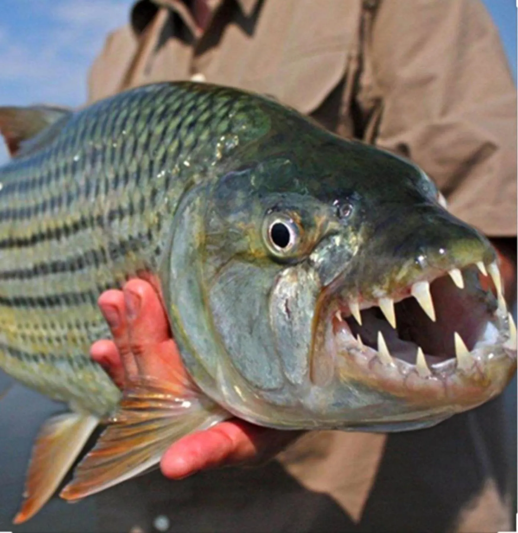 Off site in Wielewaal Bush Lodge