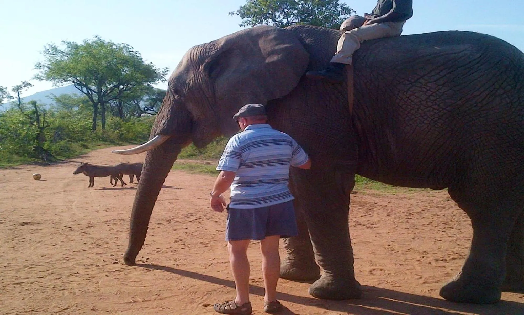 Off site in Wielewaal Bush Lodge