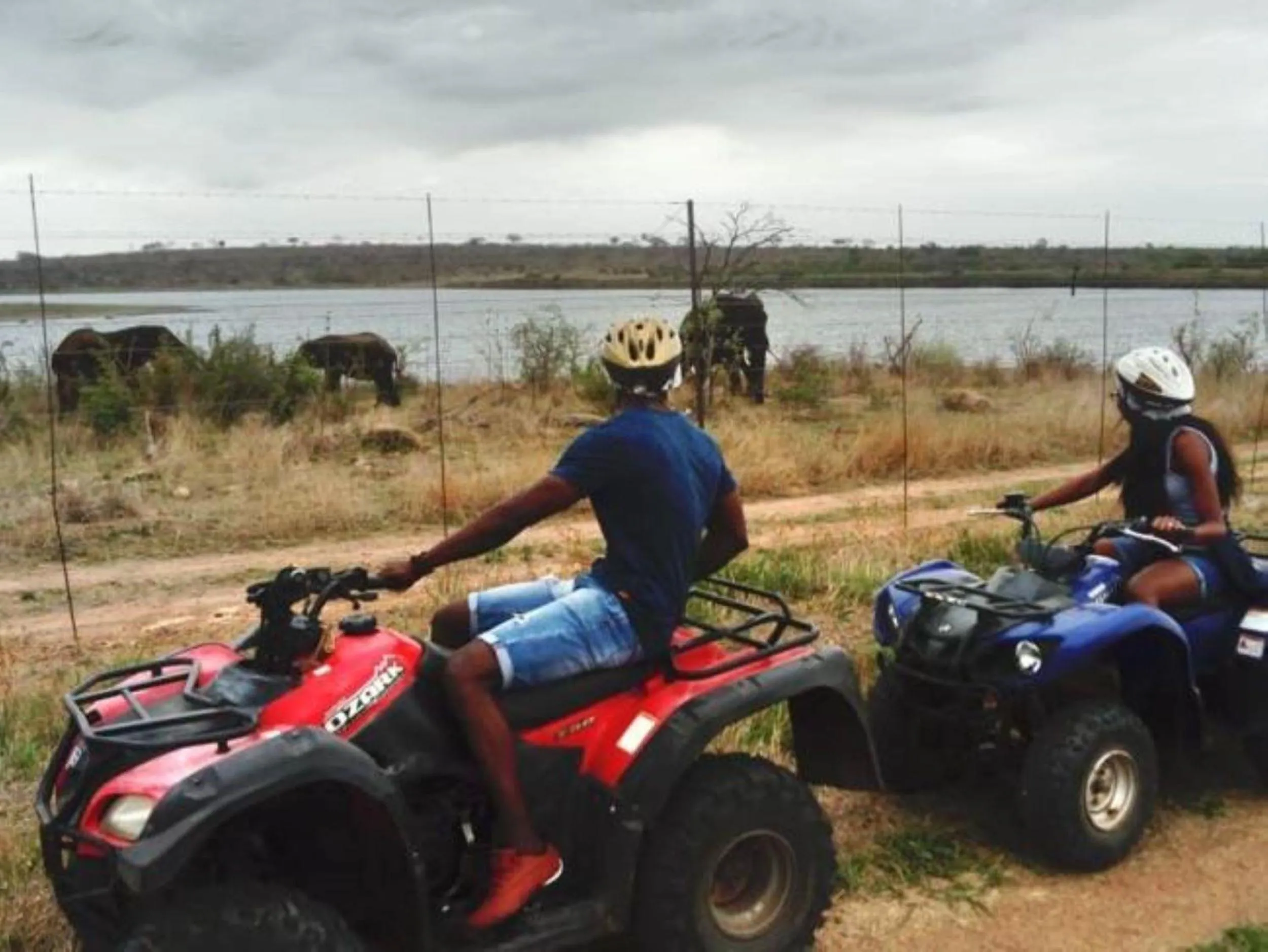 Neighbourhood in Wielewaal Bush Lodge