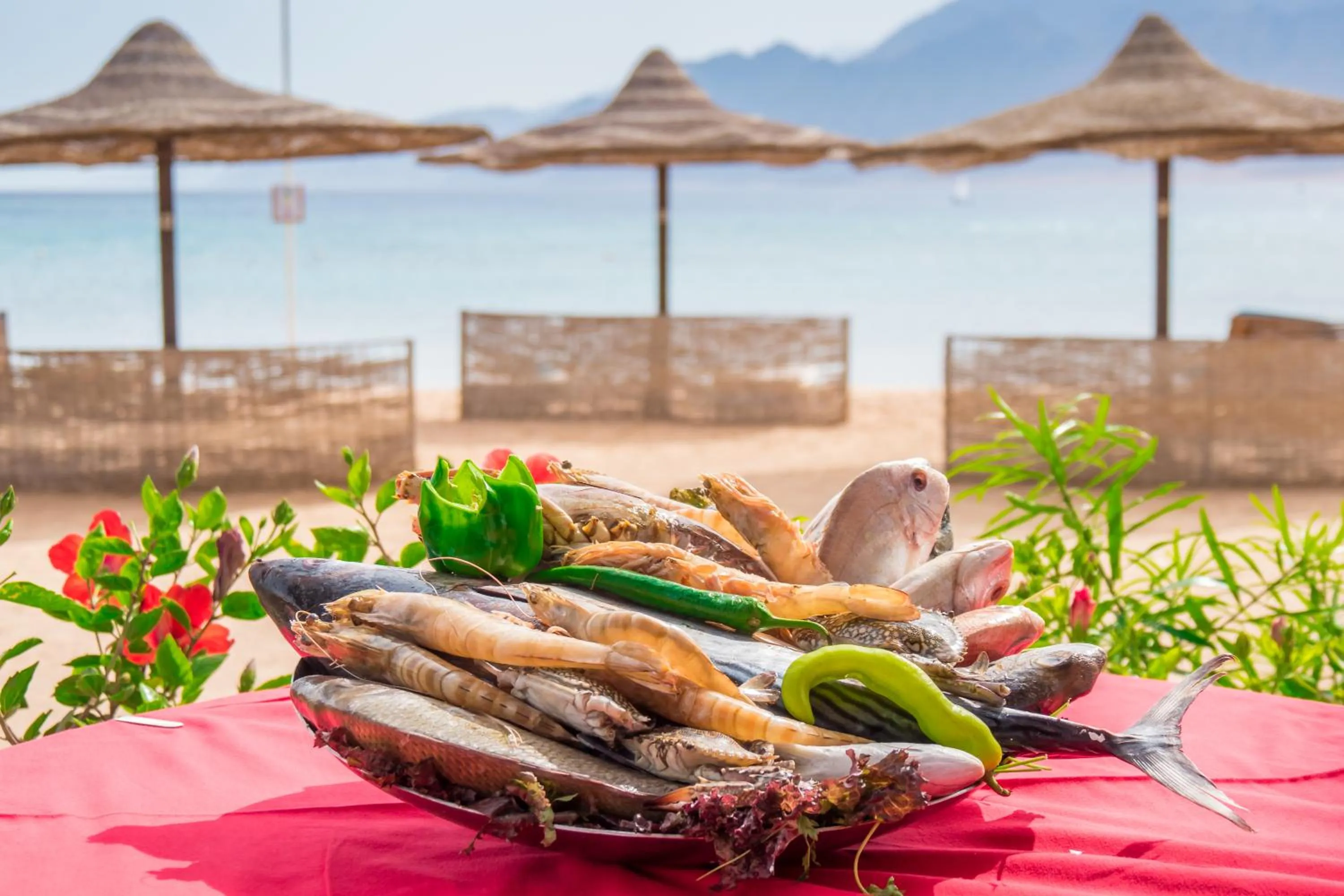 Food in Dahab Lagoon Club & Resort Ex Tirana Dahab