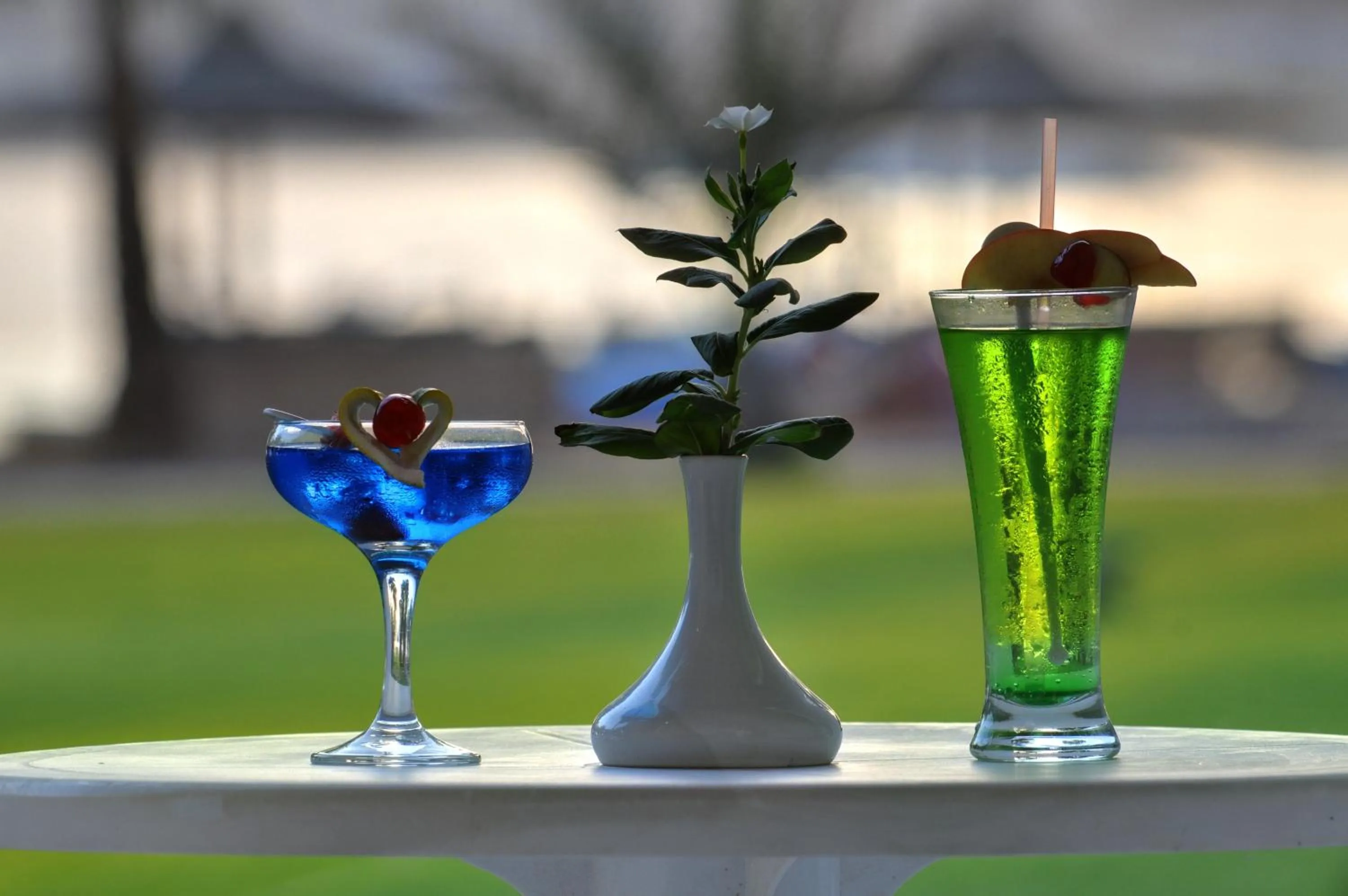 Drinks in Dahab Lagoon Club & Resort Ex Tirana Dahab