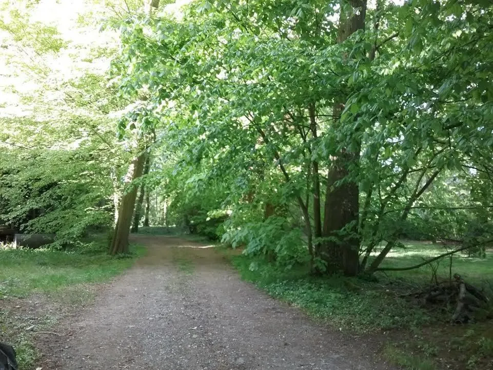 Garden view in Château des marronniers