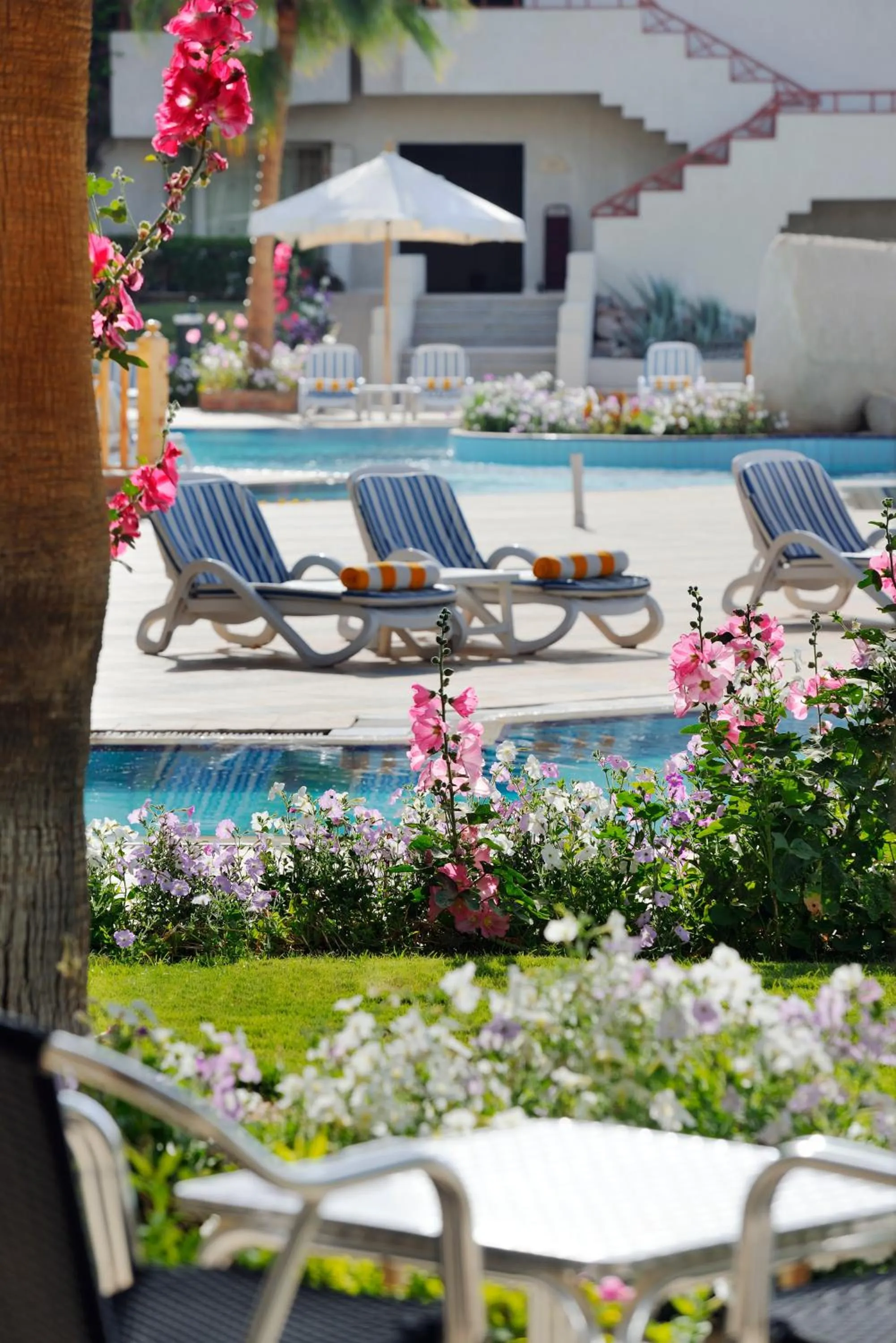 Pool view in Naama Bay Promenade Beach Resort Managed By Accor