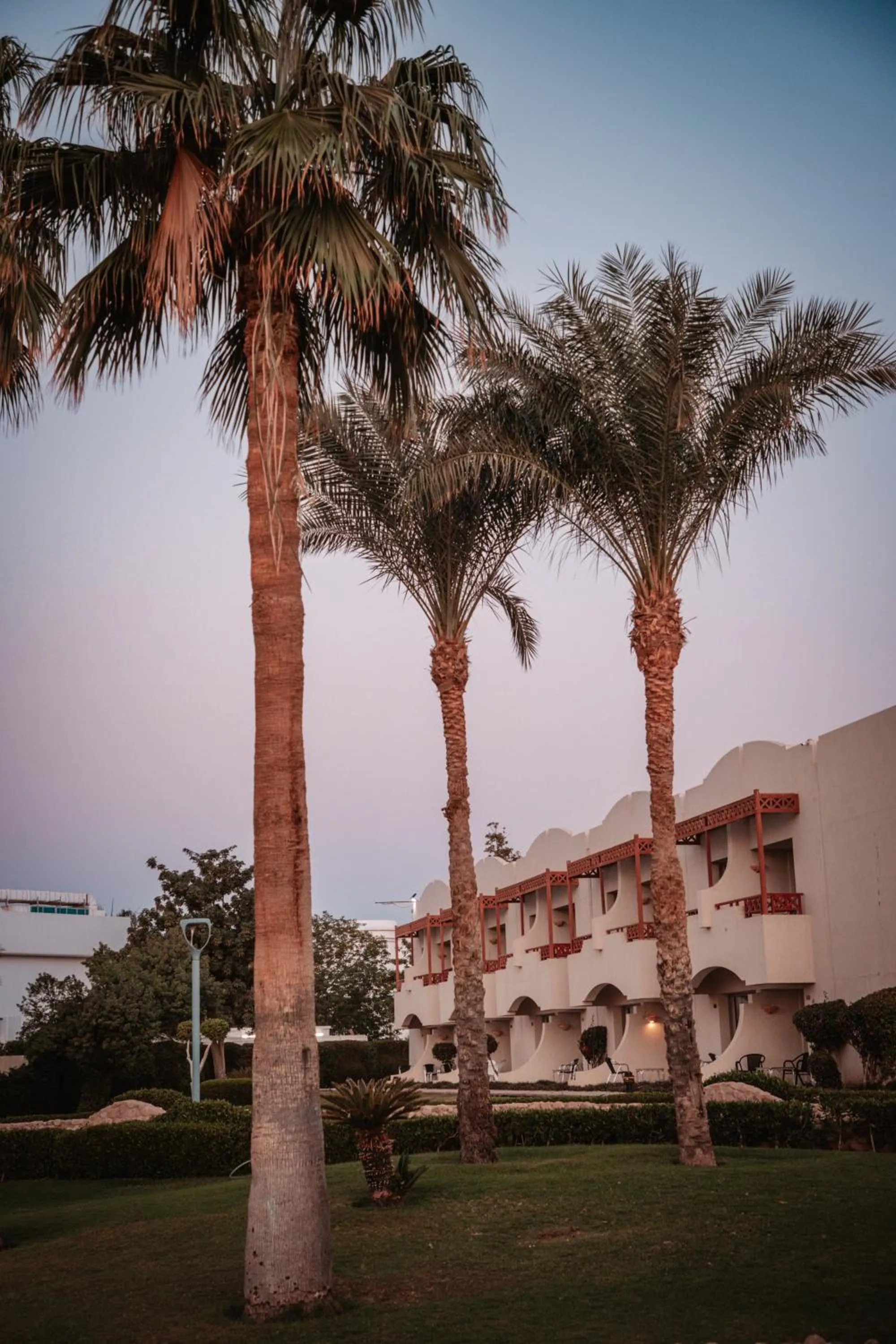 View (from property/room) in Naama Bay Promenade Beach Resort Managed By Accor