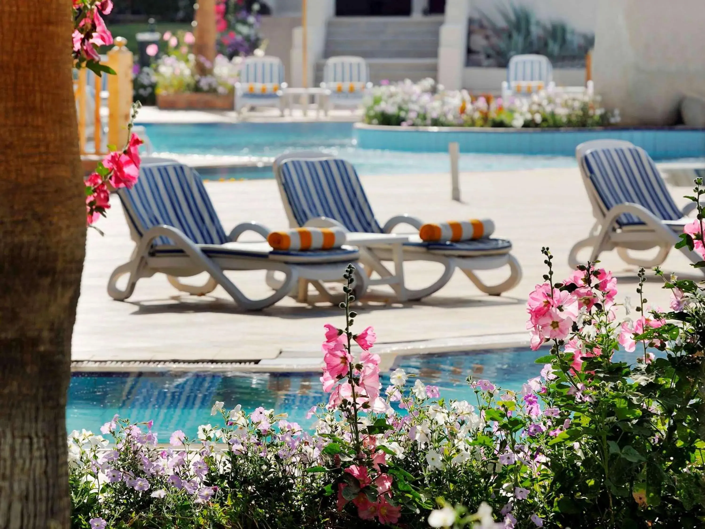 Other, Swimming Pool in Naama Bay Promenade Beach Resort Managed By Accor