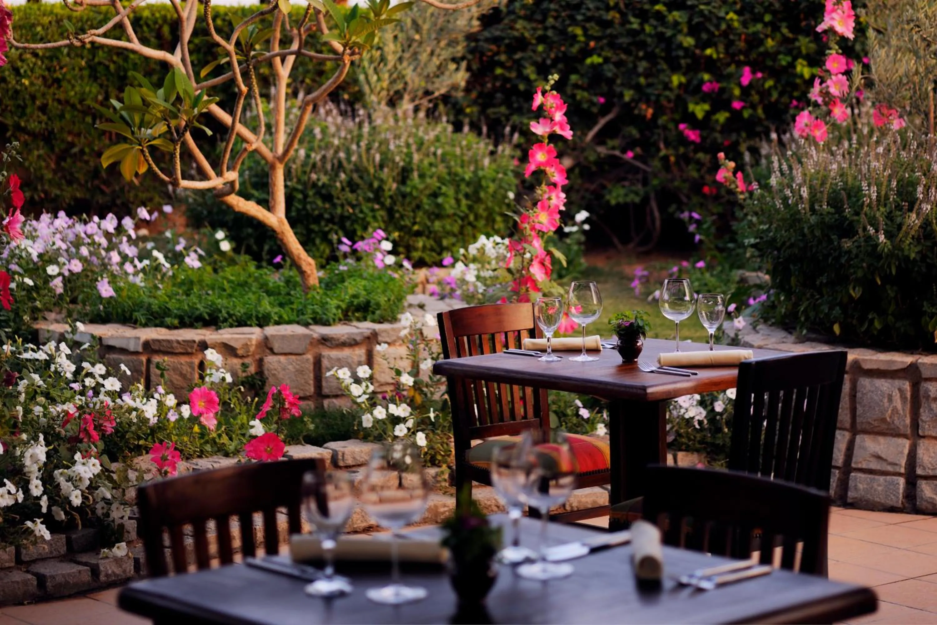 Restaurant/places to eat in Naama Bay Promenade Beach Resort Managed By Accor