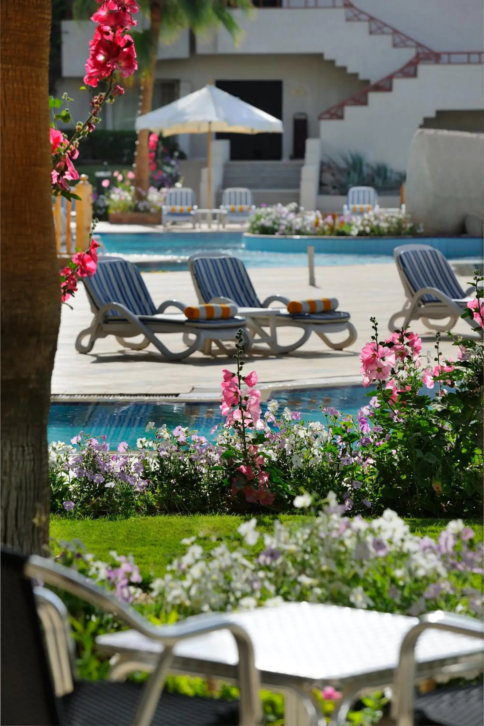 Pool view, Swimming Pool in Naama Bay Promenade Beach Resort Managed By Accor