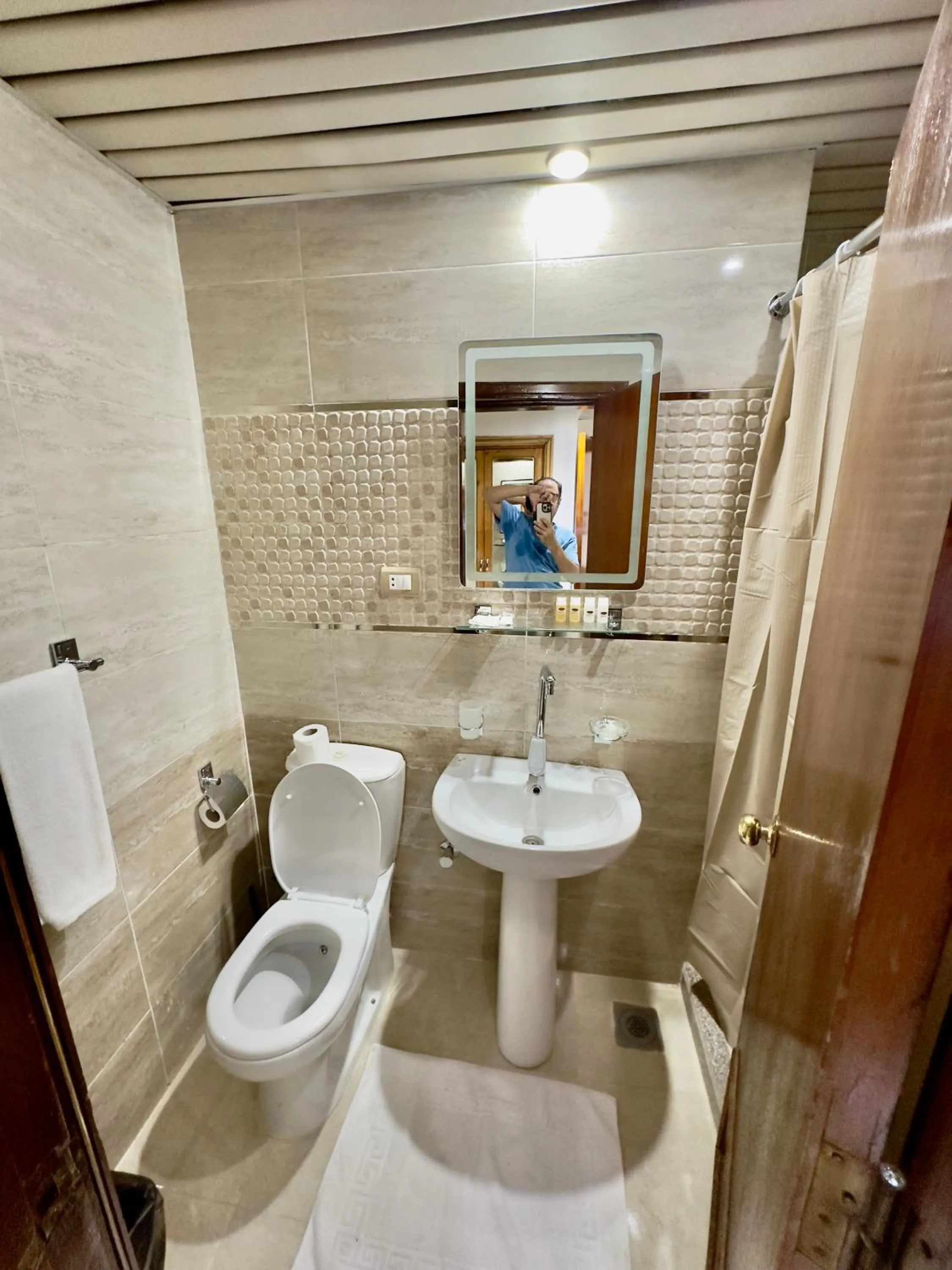 Toilet in Gaddis Hotel, Suites and Apartments
