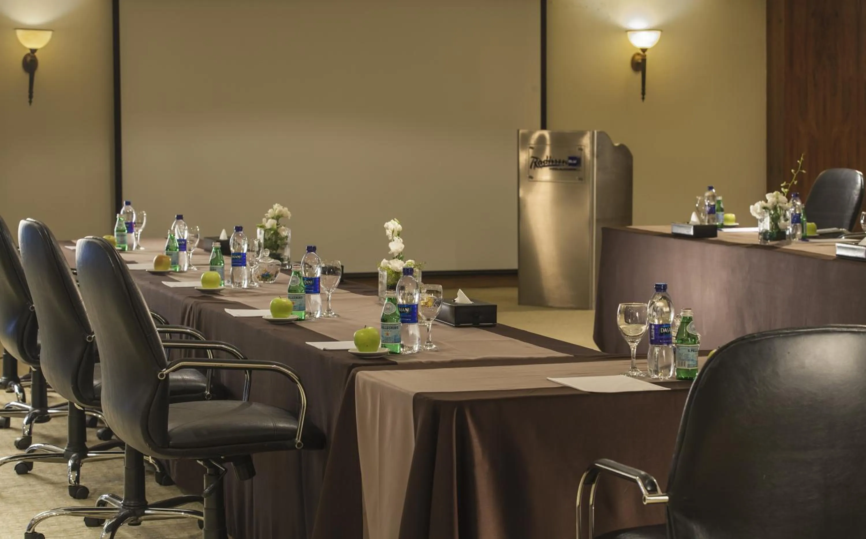 Business facilities in Radisson Blu Hotel & Convention Center, Alexandria