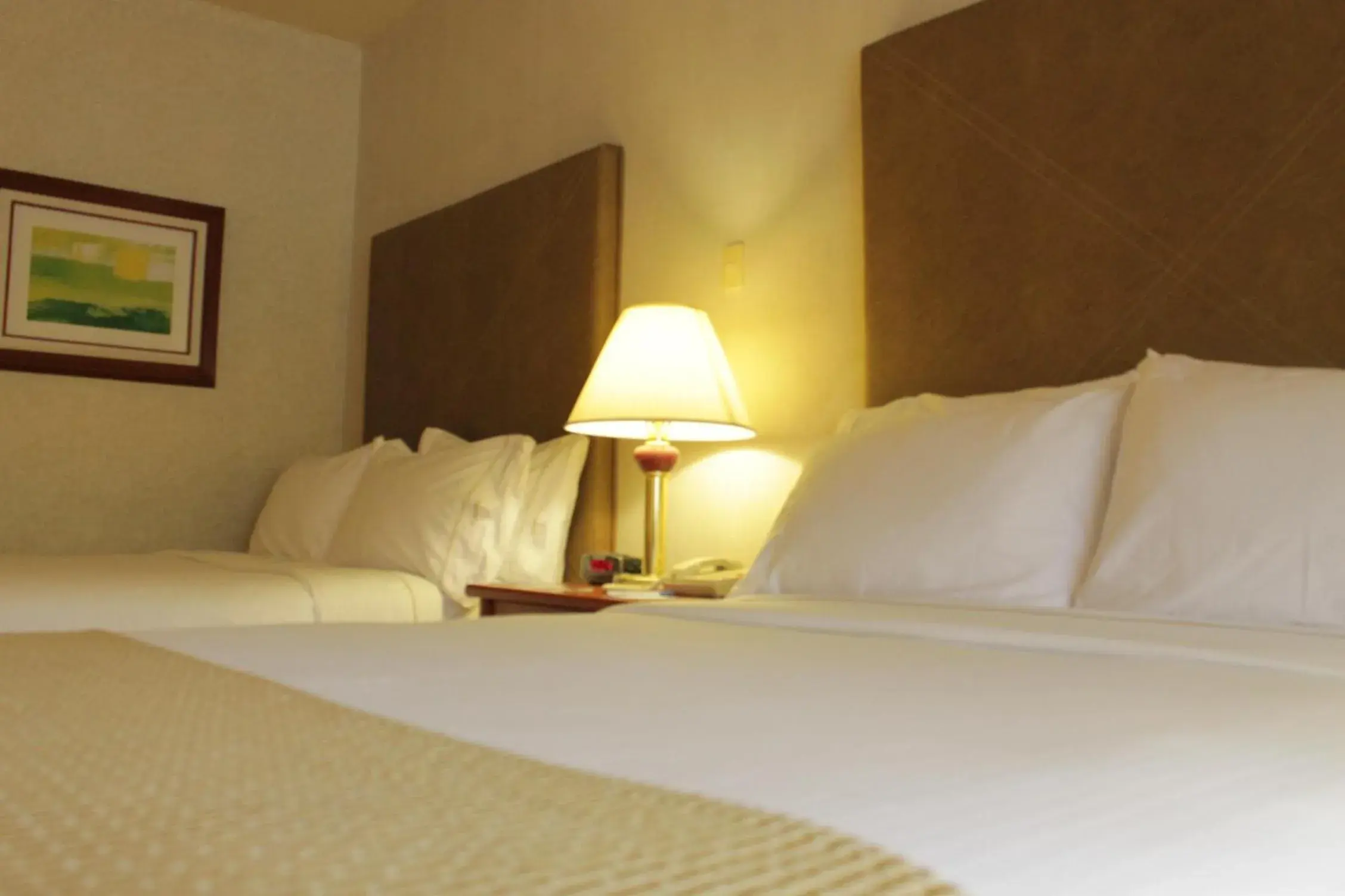 Bed in Holiday Inn Express Chihuahua by IHG Bed in Holiday Inn Express Chihuahua by IHG