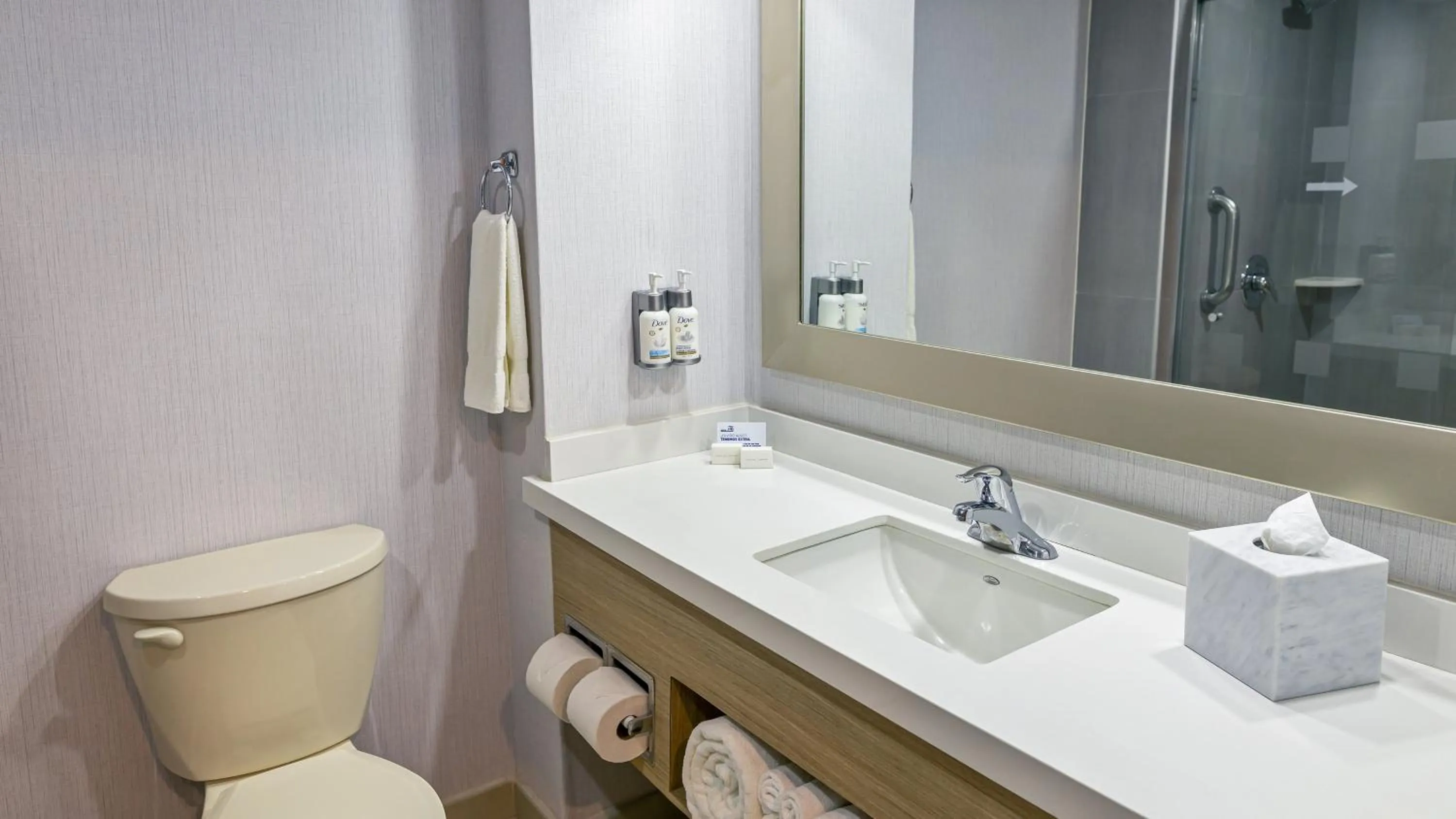 Bathroom in Holiday Inn Express Chihuahua by IHG