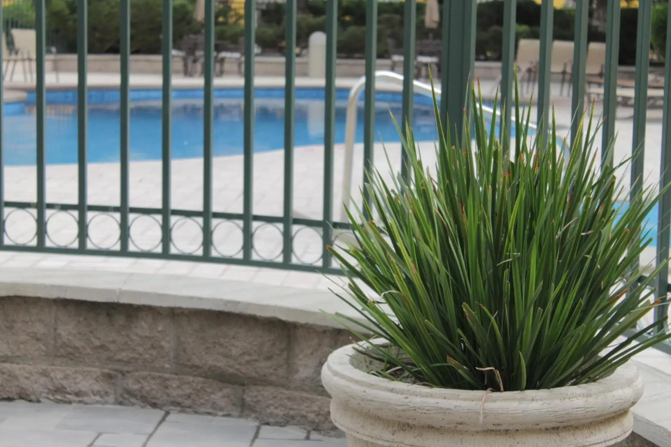 Swimming pool in Holiday Inn Express Chihuahua by IHG Swimming pool in Holiday Inn Express Chihuahua by IHG