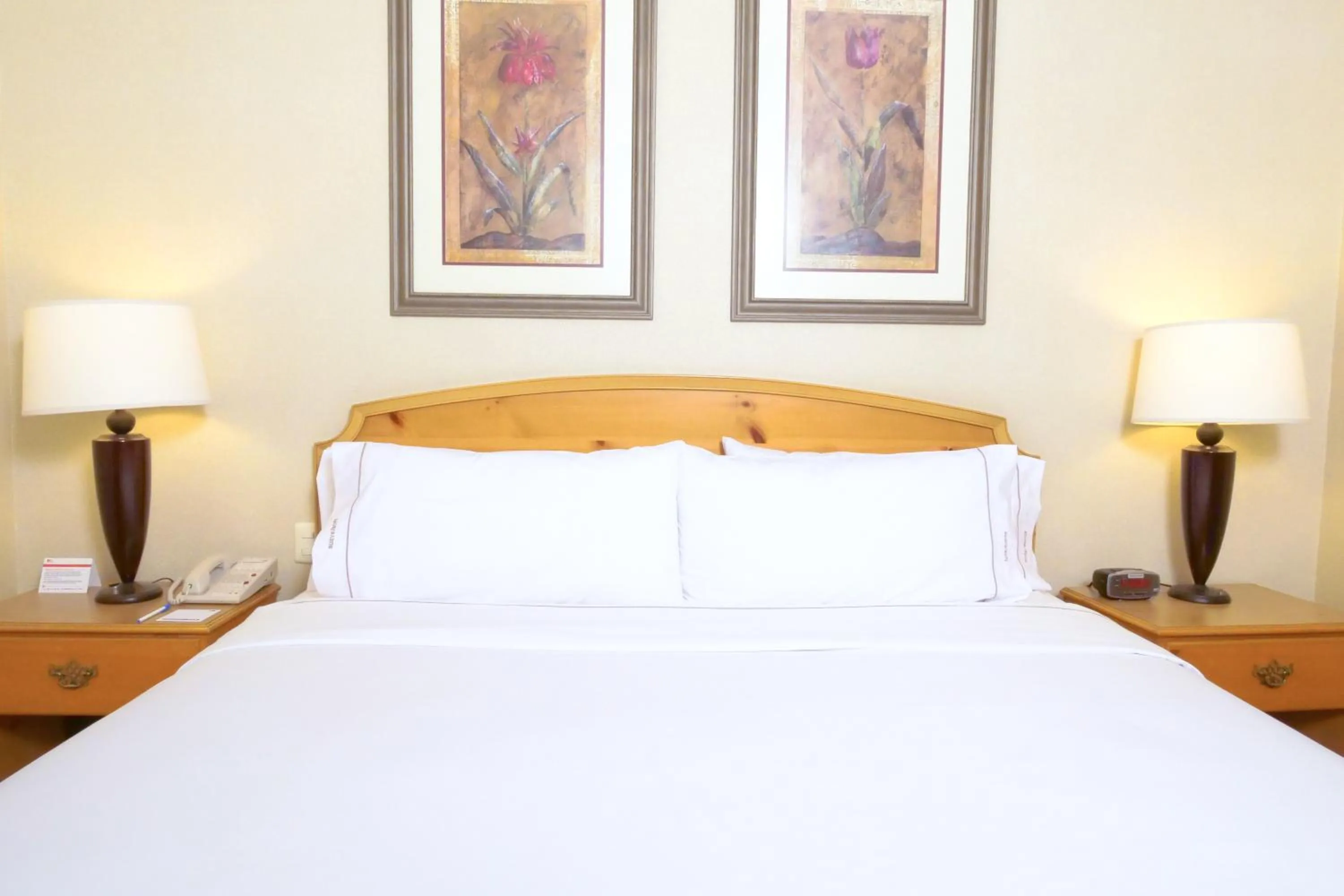 Bedroom, Bed in Holiday Inn Express Silao-Aeropuerto Bajio by IHG
