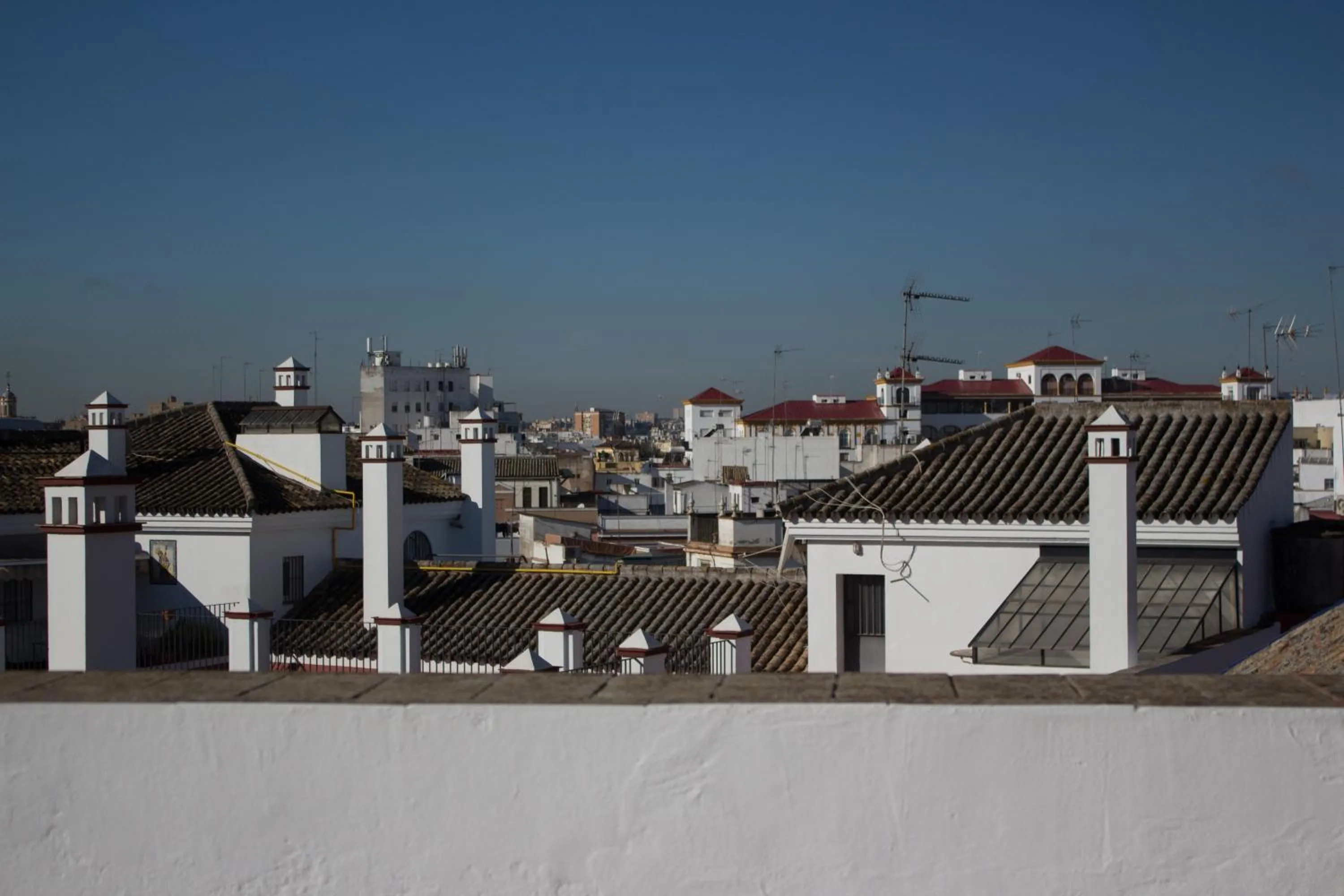 Balcony/Terrace in Black Swan Hostel Sevilla