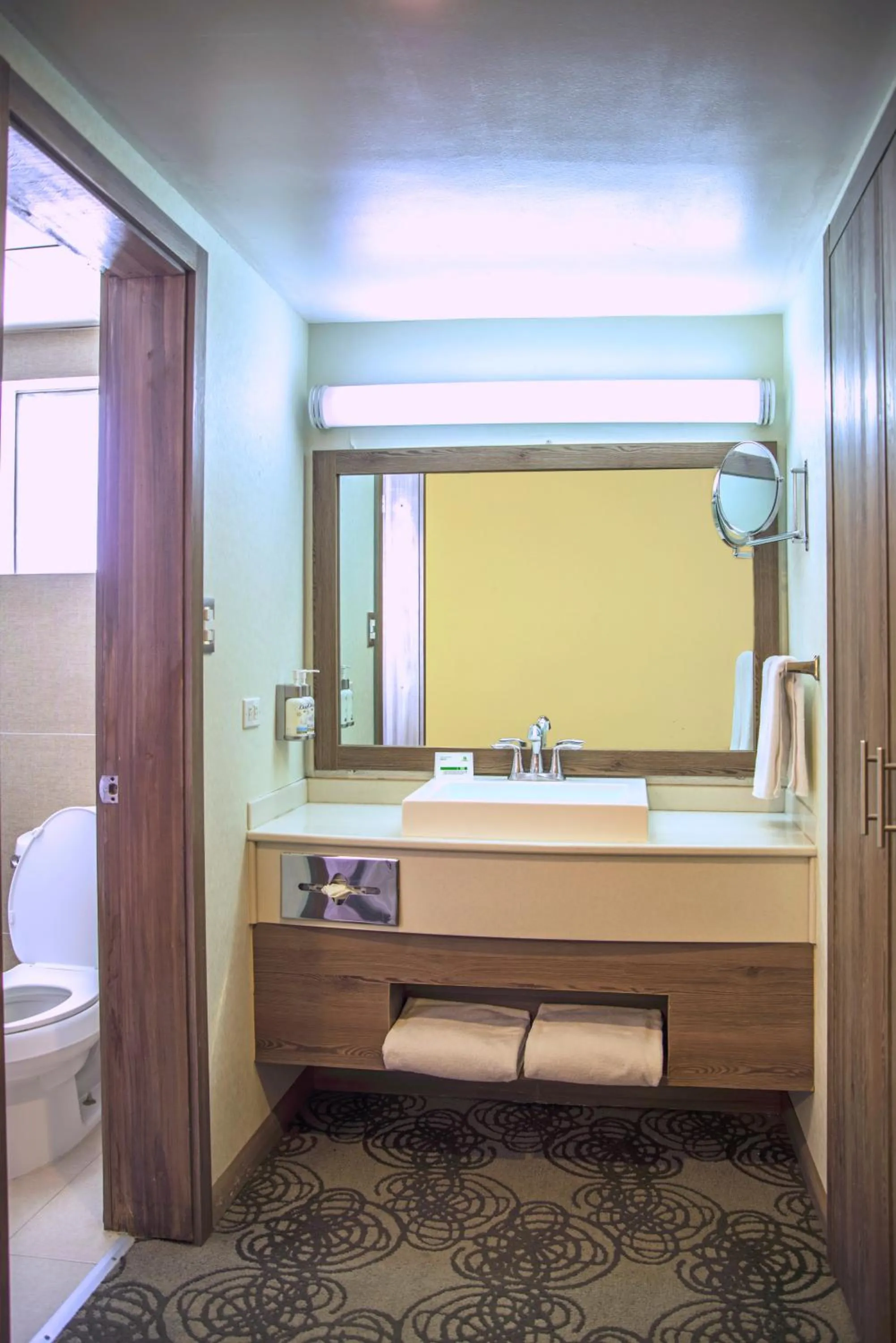 Bathroom in Holiday Inn & Suites Chihuahua Expo by IHG