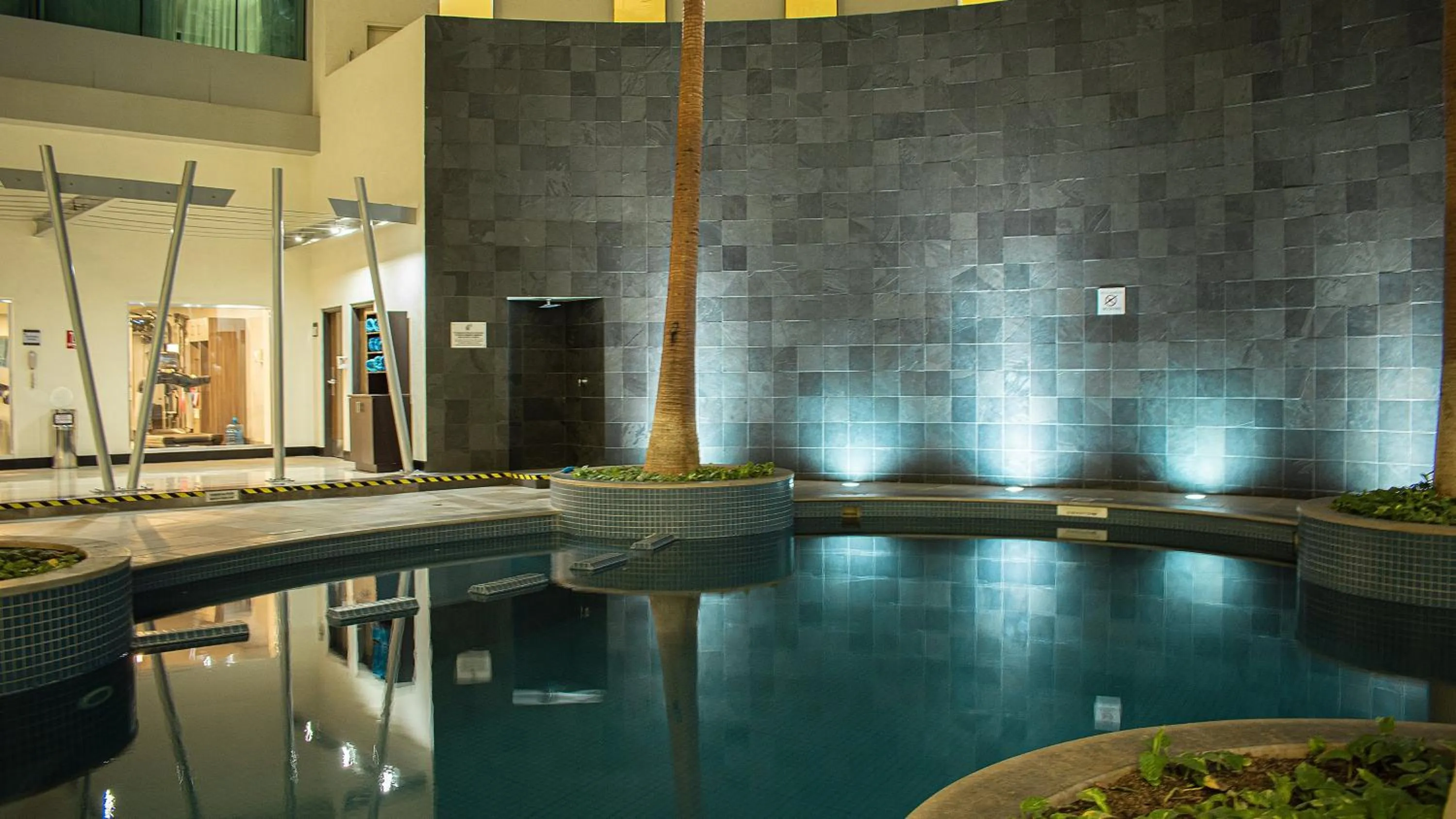 Swimming pool in Crowne Plaza Leon by IHG