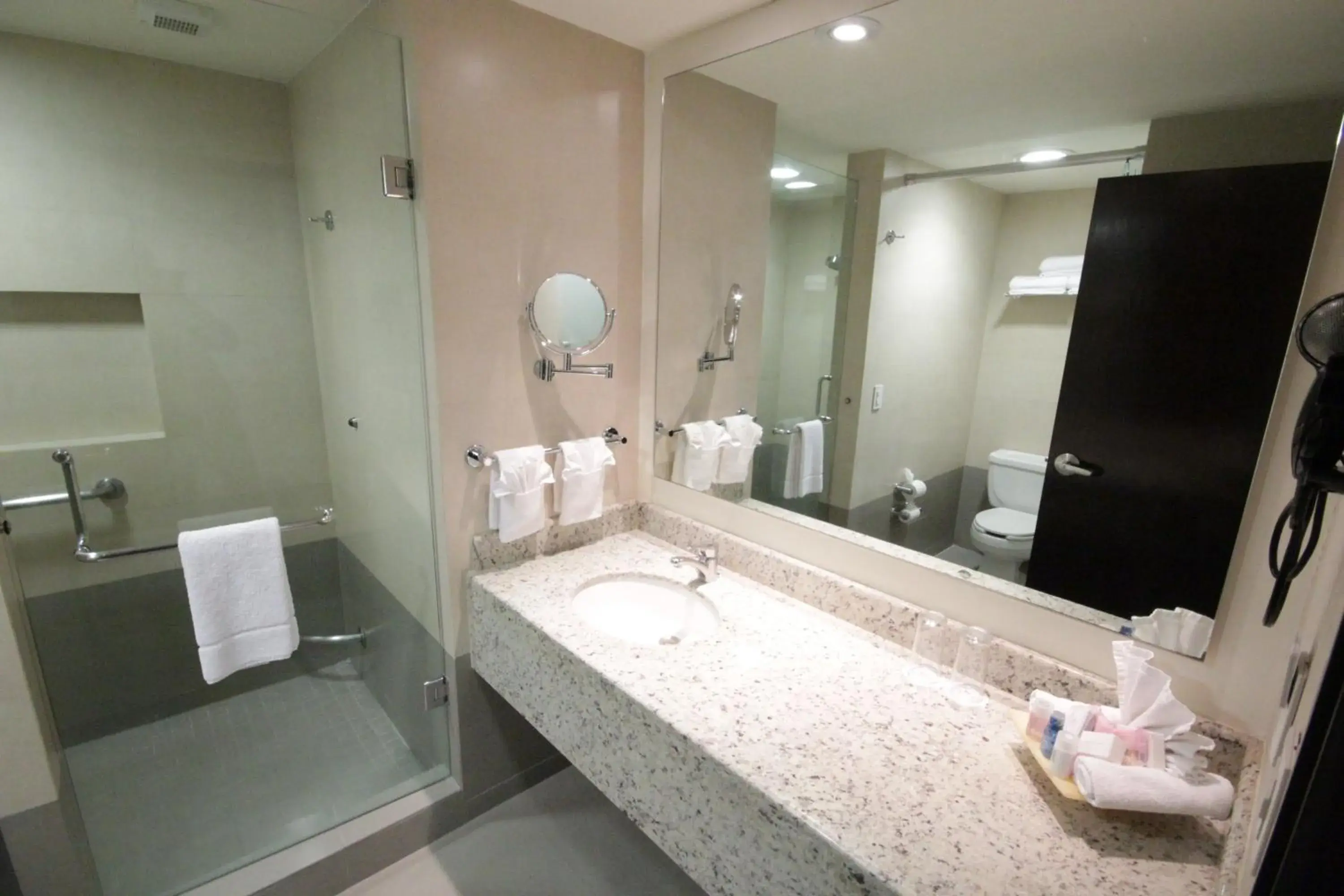 Standard King Room in Crowne Plaza Leon by IHG Standard King Room in Crowne Plaza Leon by IHG
