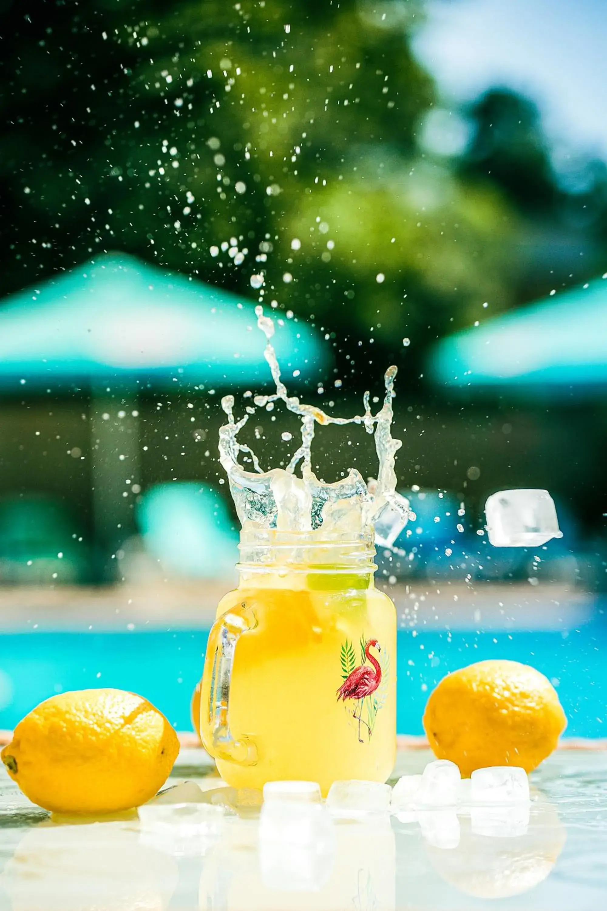 Restaurant/places to eat in Q Hotel Restaurant/places to eat in Q Hotel