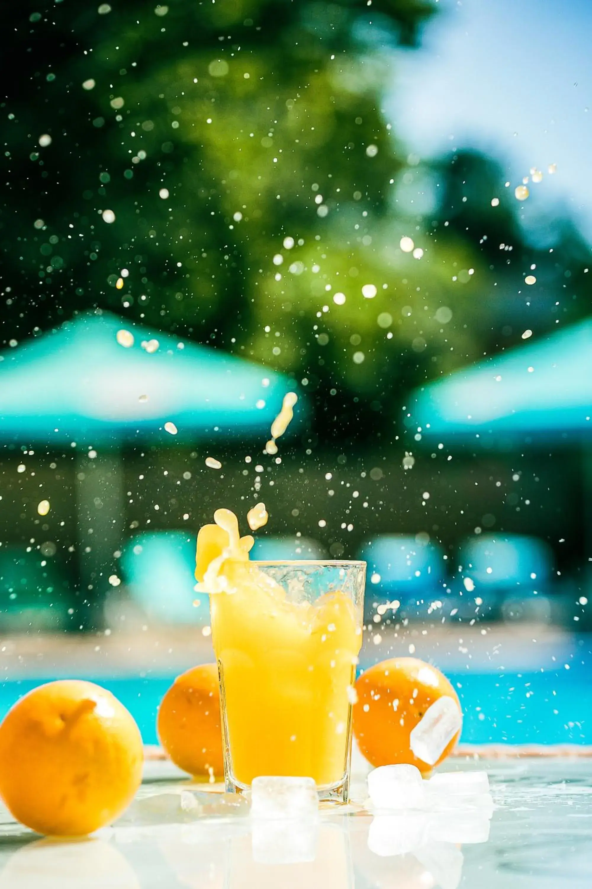 Restaurant/places to eat in Q Hotel Restaurant/places to eat in Q Hotel